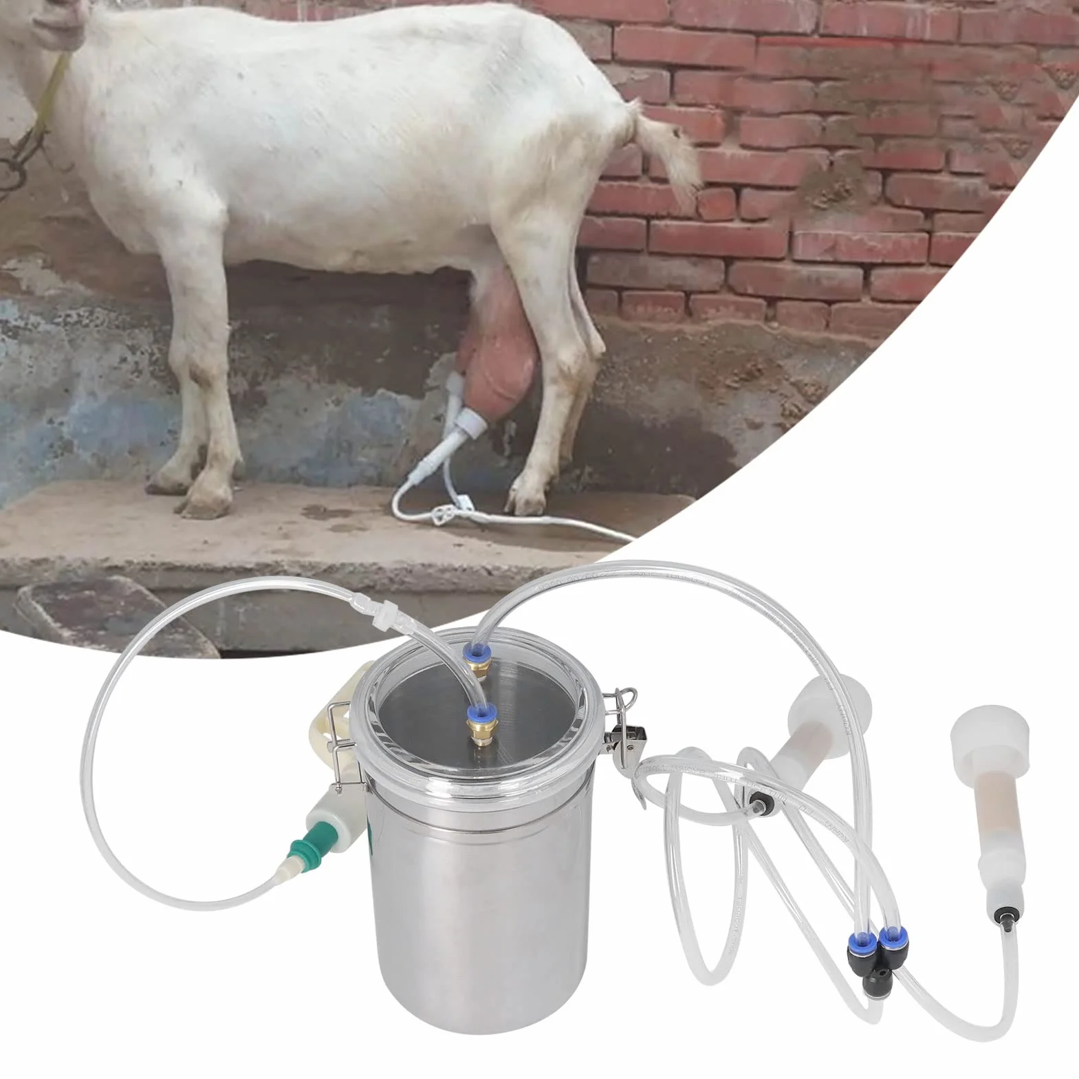 Dojarka do Kóz goat milking Ręczna Dojarka do Butelek ze Stali Nierdzewnej 2L , Kontrola Oszczędzająca Wysiłek Przenośne Materiały do dojenia Kóz z Hanteringstillbehör