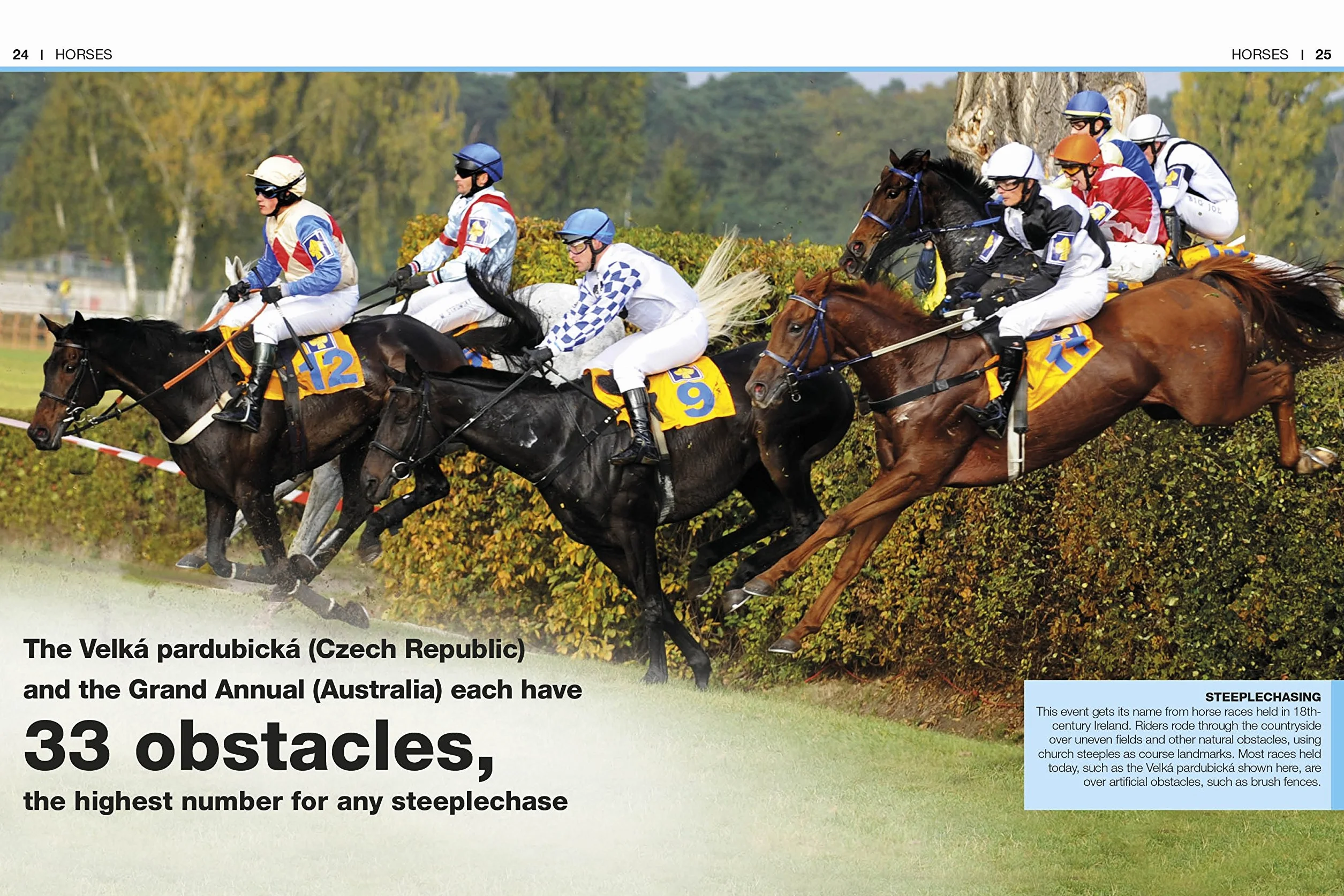 Pocket Eyewitness Horses: Facts at Your Fingertips