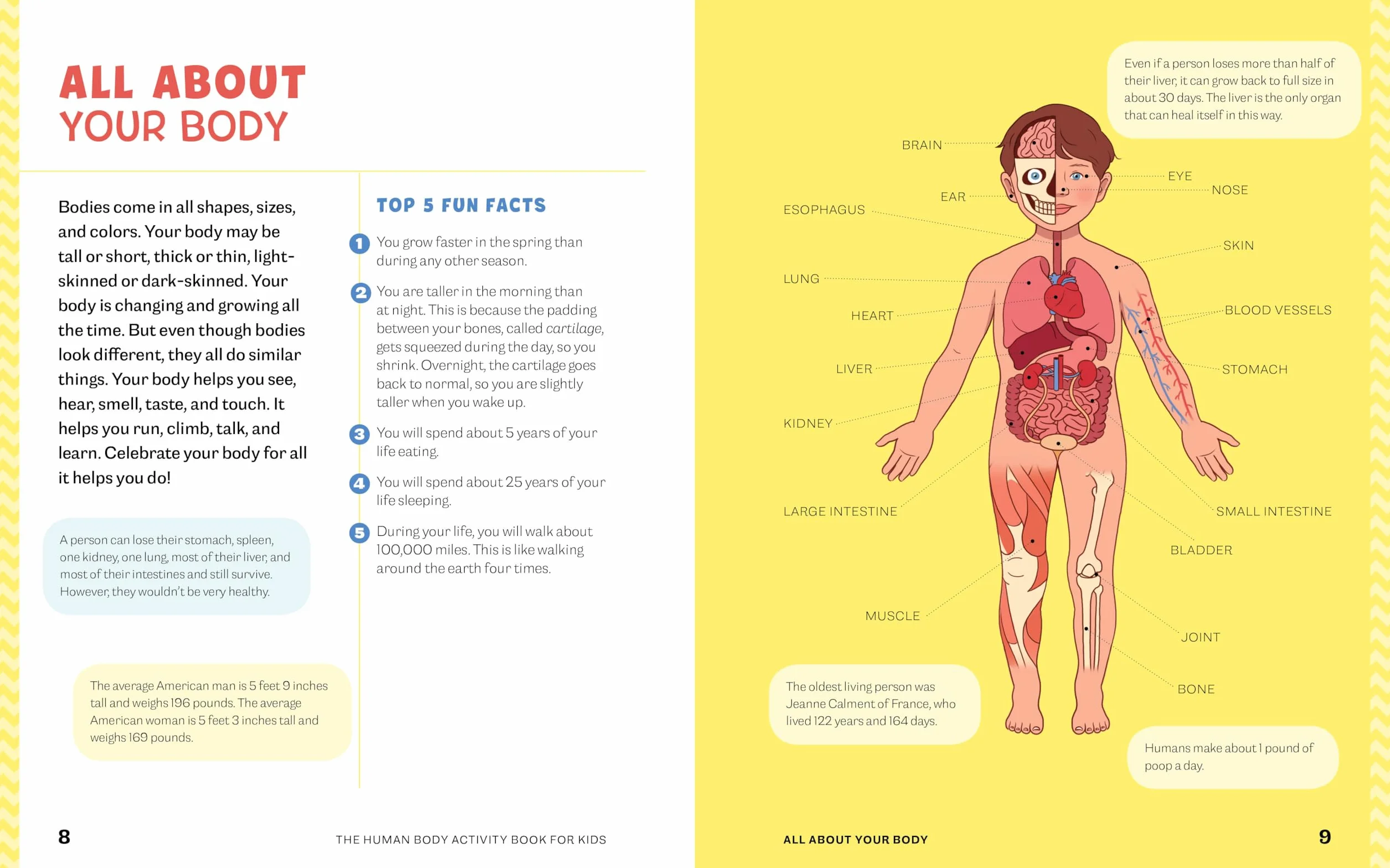 Human Body Activity Book for Kids: Hands-On Fun for Grades K-3