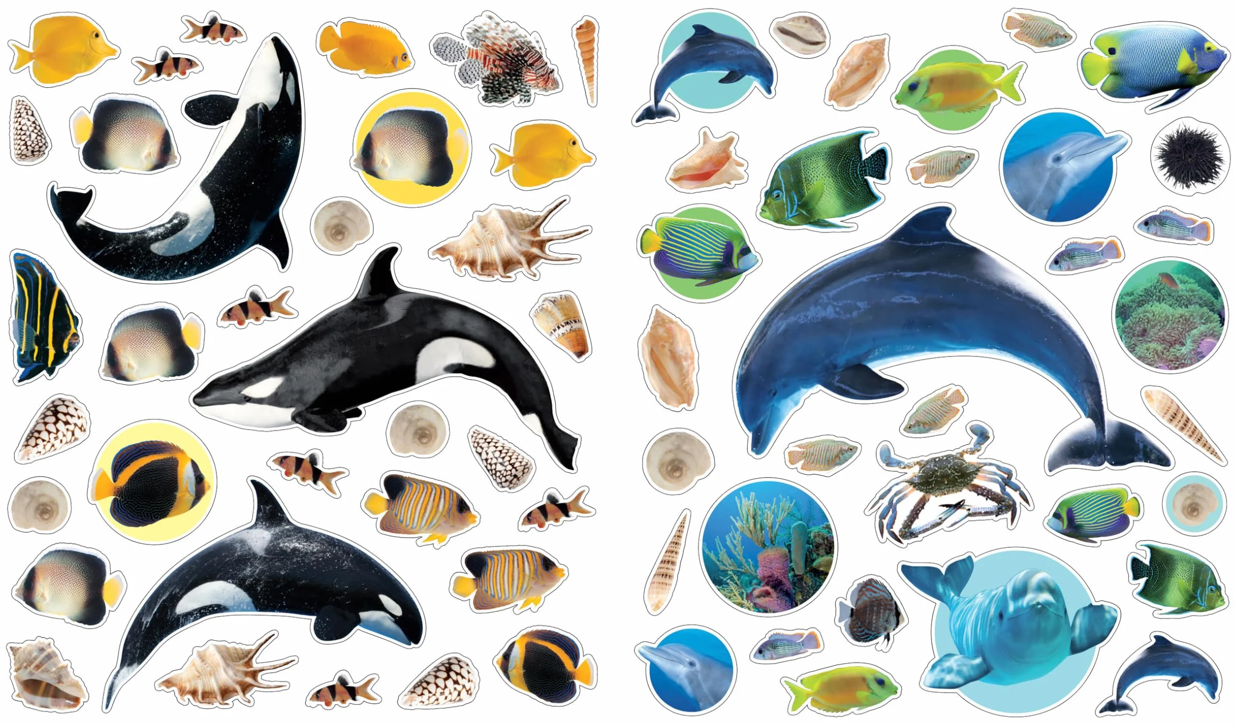 Ocean (Eye Like Stickers)