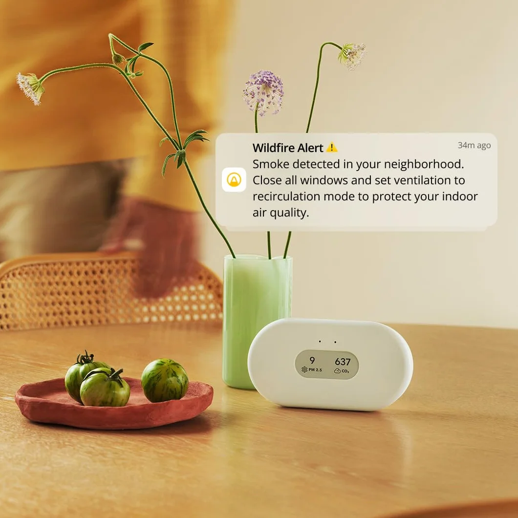 Airthings 2960 View Plus – inteligentne urządzenie pomiaru jakości powietrza i radonu (PM, radon, CO2, VOC, wilgotność, temperatura)