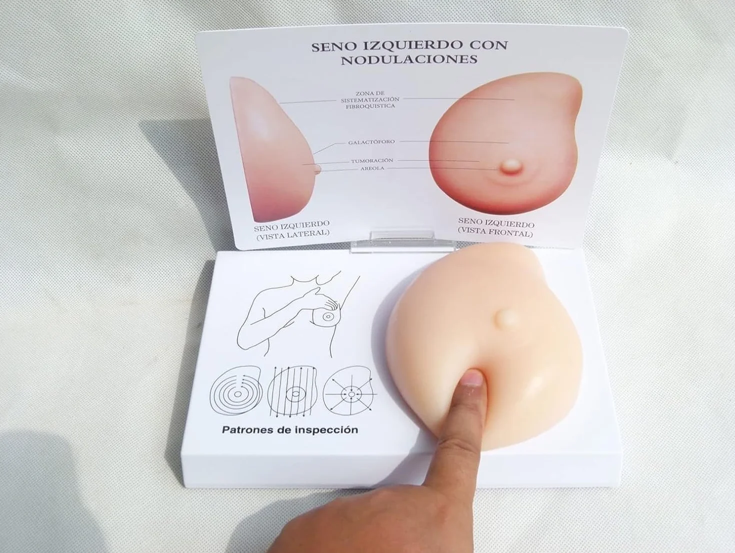 Pierś z modelem anatomicznym raka, silikonowy model piersi ludzkiego ciała, manekiny z patologicznymi piersiami, do komunikacji lekarz-pacjent, nauczanie studentów medycyny.