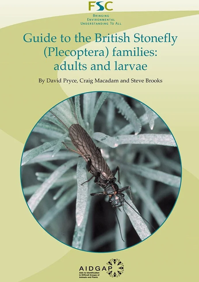 Guide to the British Stonefly (plecoptera) Families: Adults and Larvae