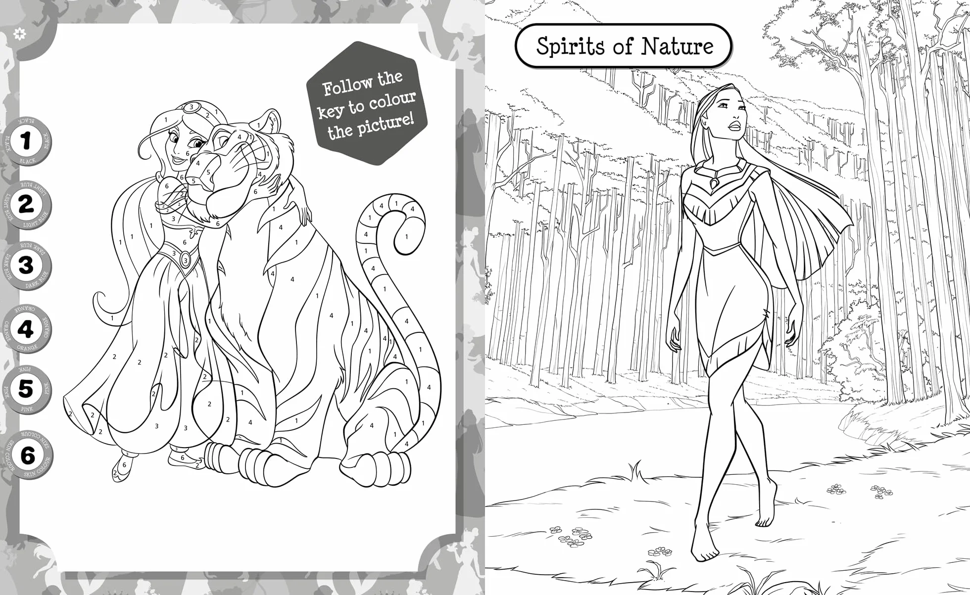 Disney Princess: 5 in 1 Colouring: A magical colouring and sticker adventure