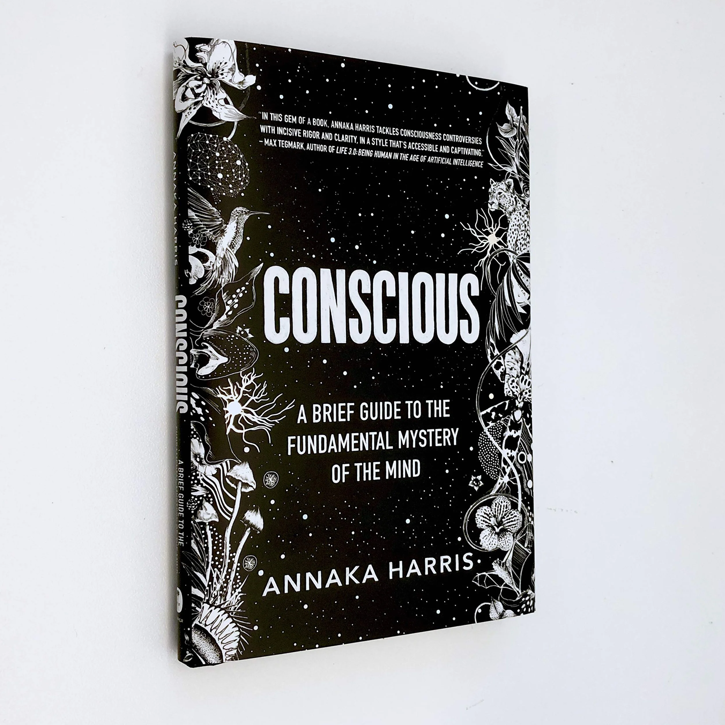 Conscious: A Brief Guide to the Fundamental Mystery of the Mind
