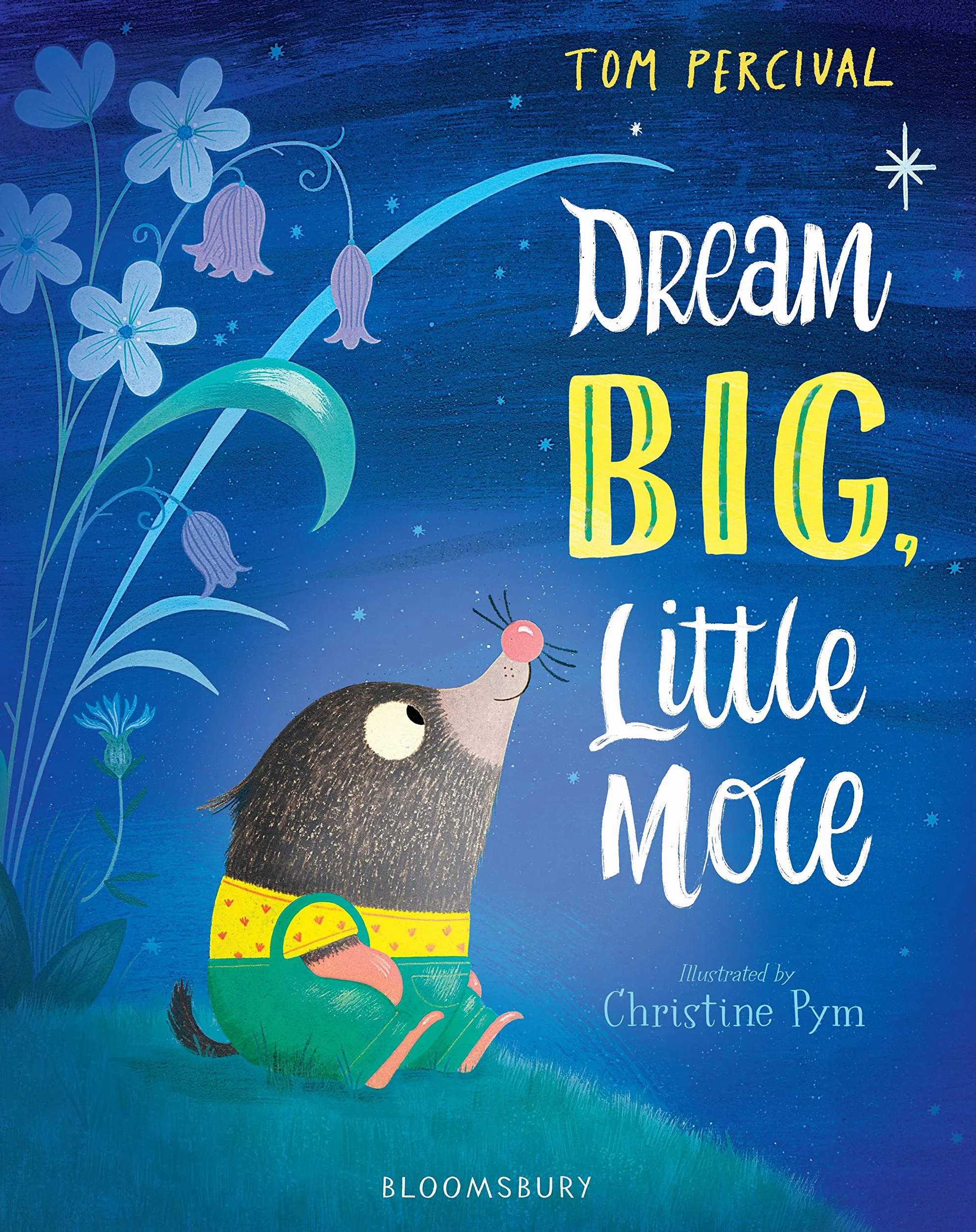 Dream Big, Little Mole