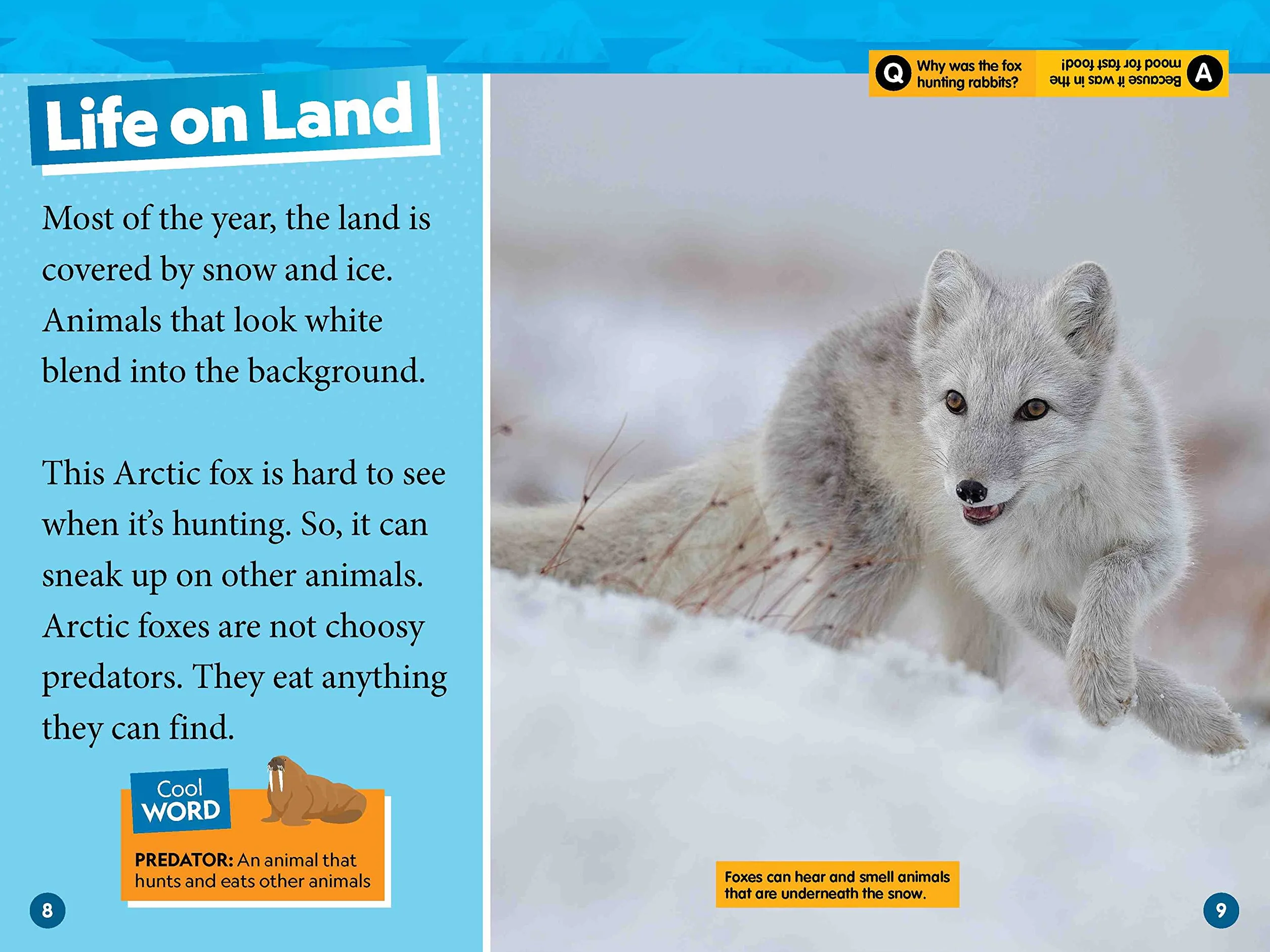 Arctic Animals: Level 2