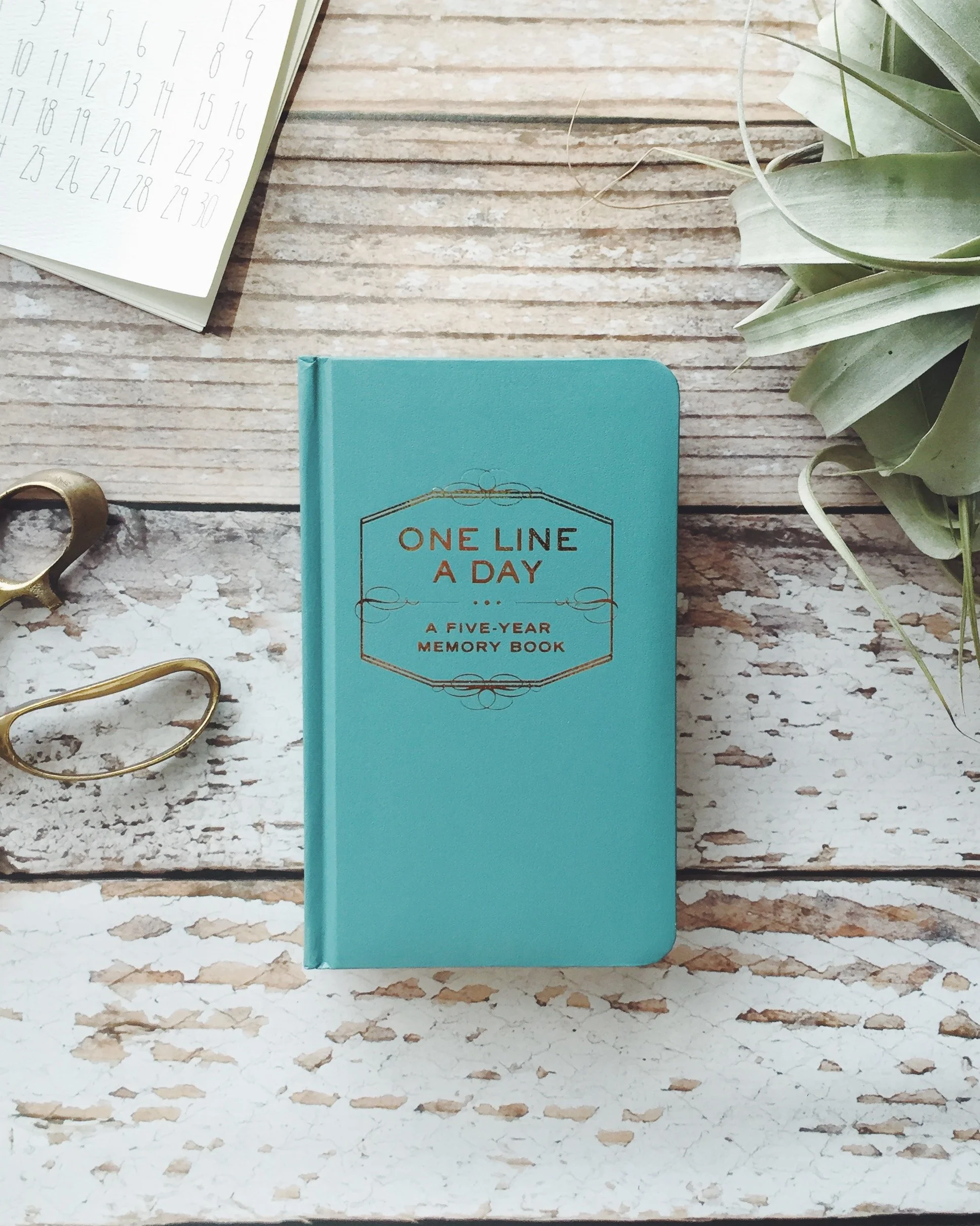 One Line a Day: A Five Year Memory Book
