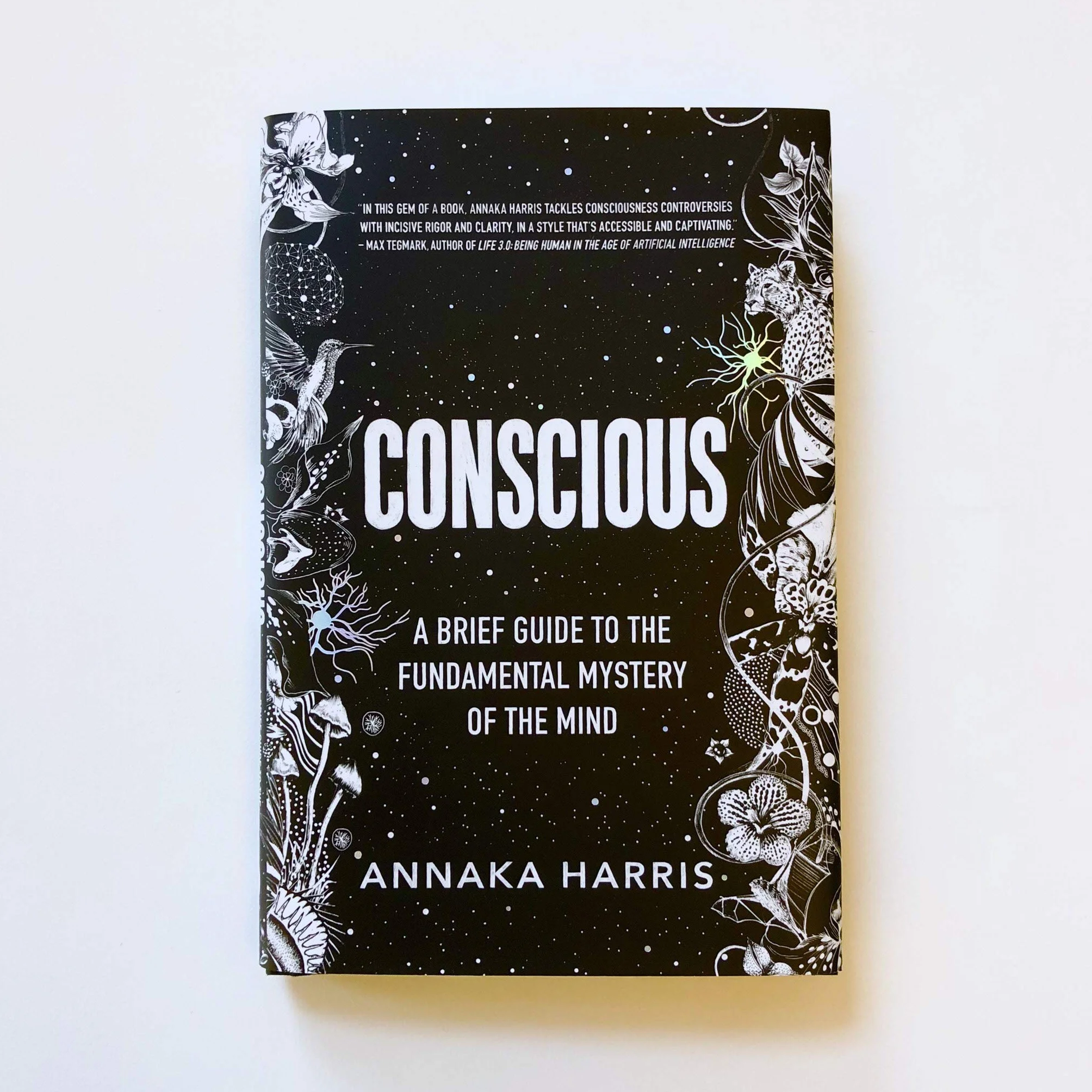 Conscious: A Brief Guide to the Fundamental Mystery of the Mind