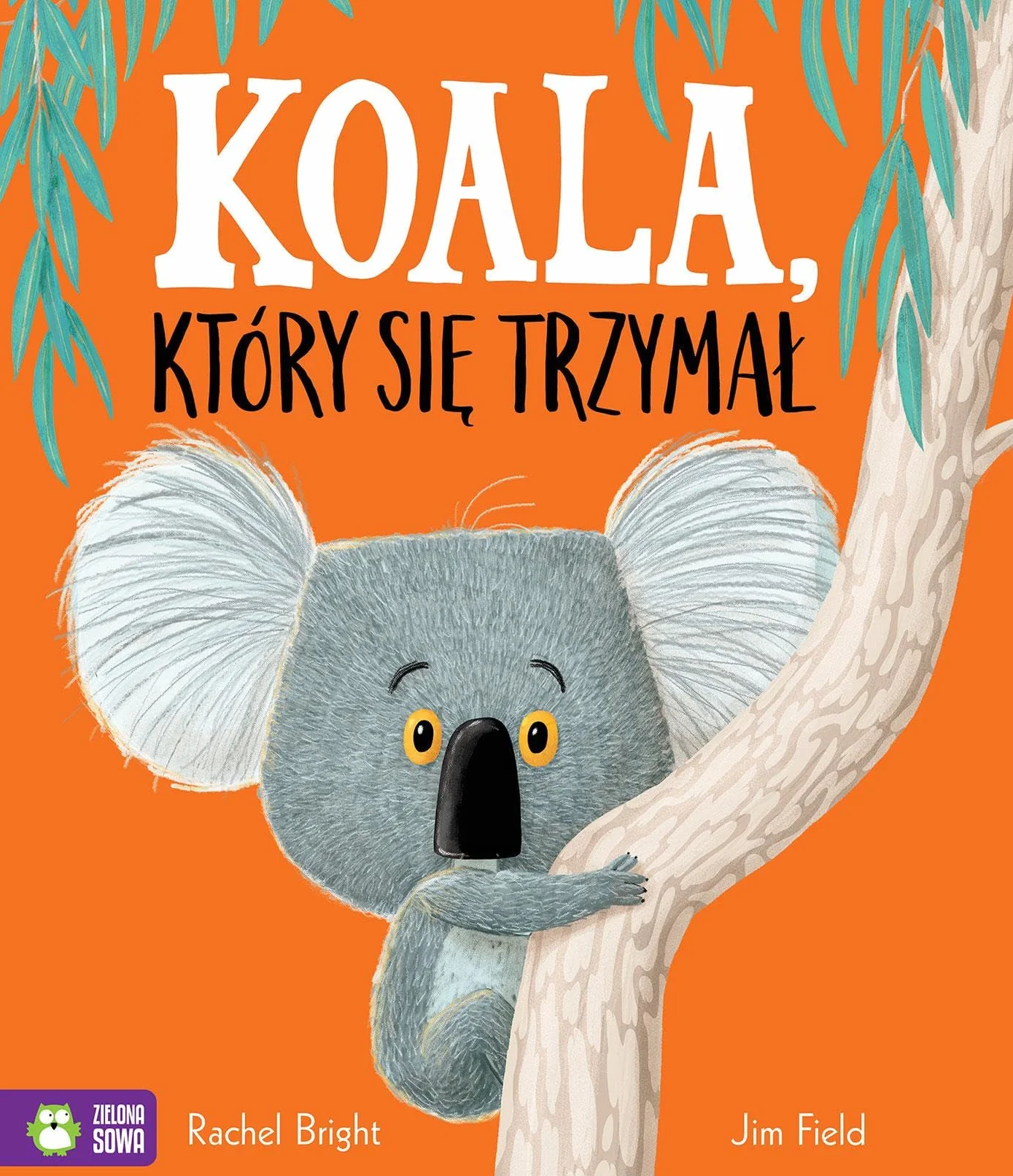 KOALA, KTÓRY SIĘ TRZYMAŁ
