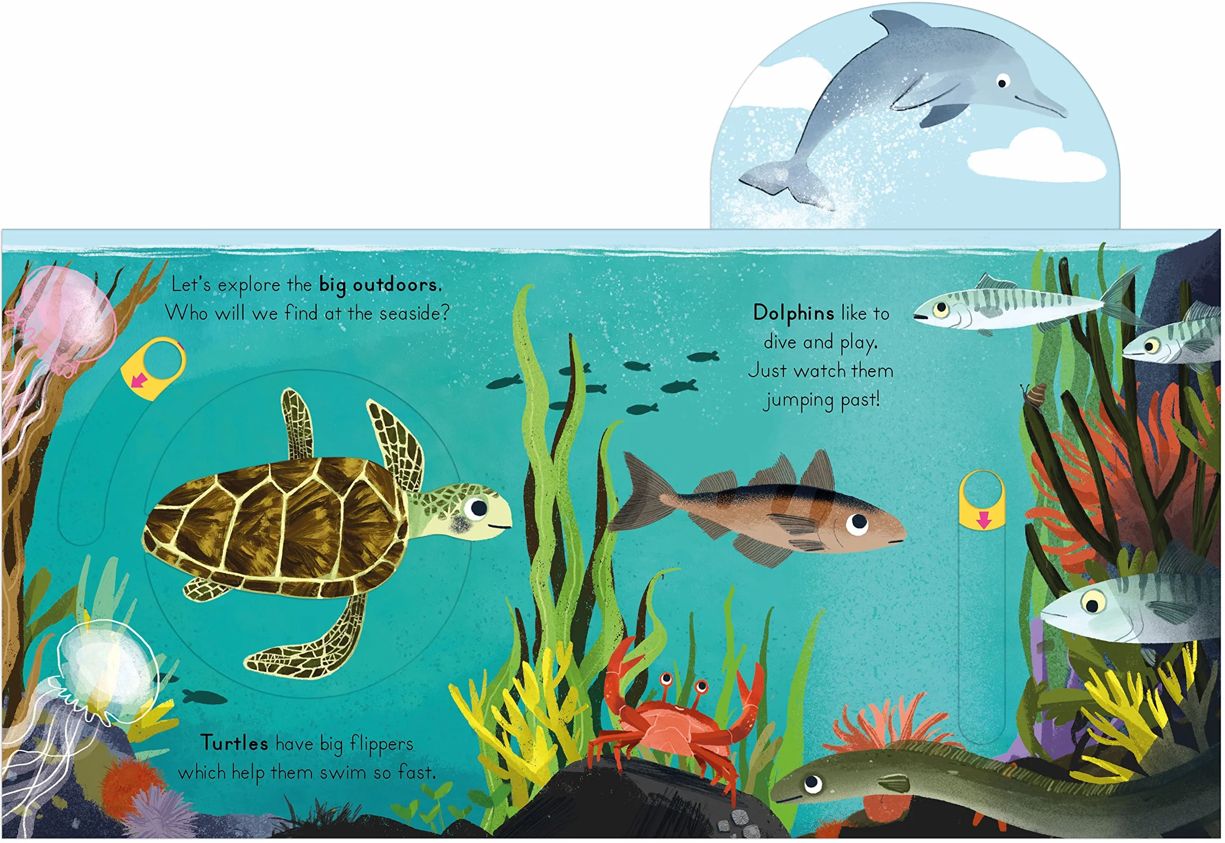 National Trust: Big Outdoors for Little Explorers: Seaside