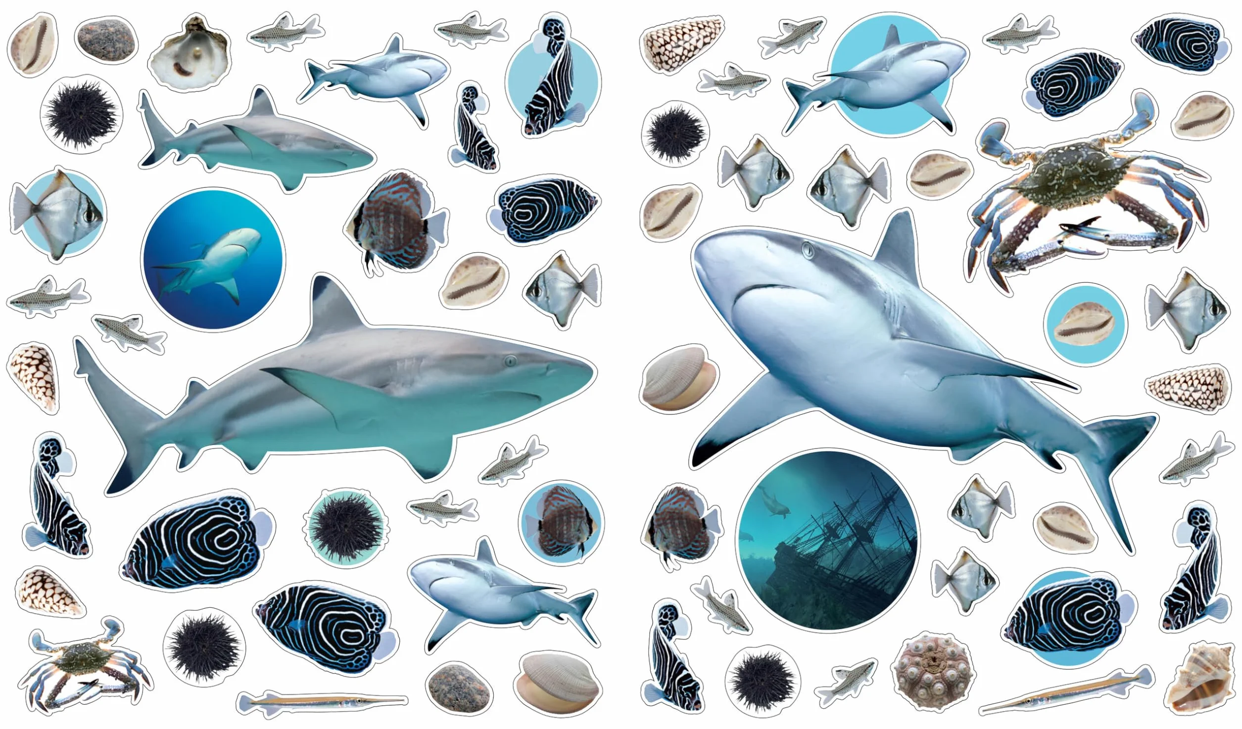 Ocean (Eye Like Stickers)