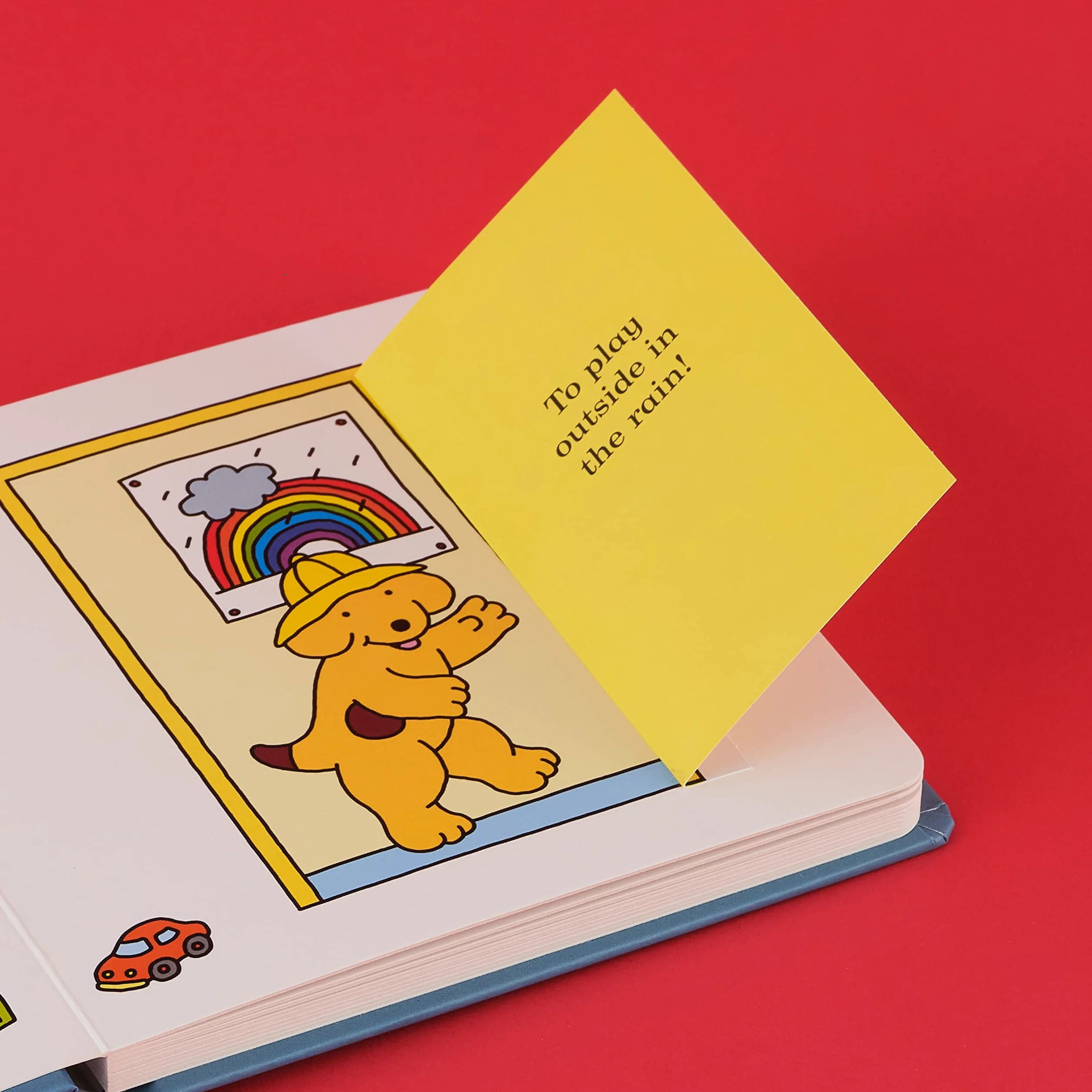 Find Spot: The Rainy Day : A Lift-the-Flap Story