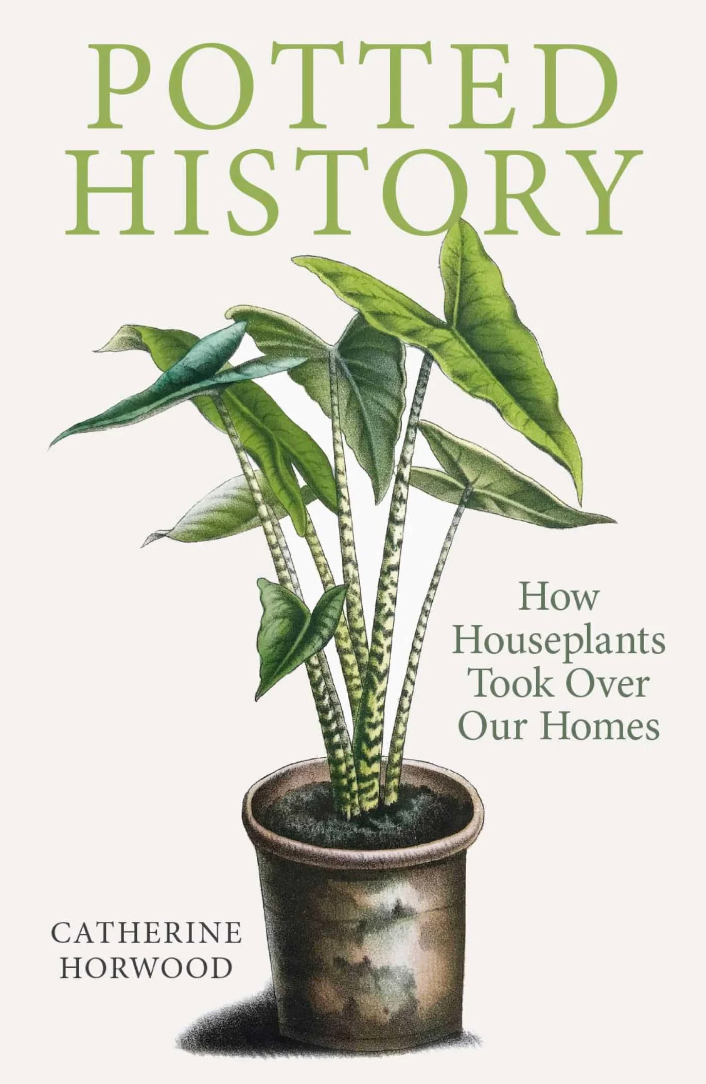 Potted History: How Houseplants Took Over Our Homes