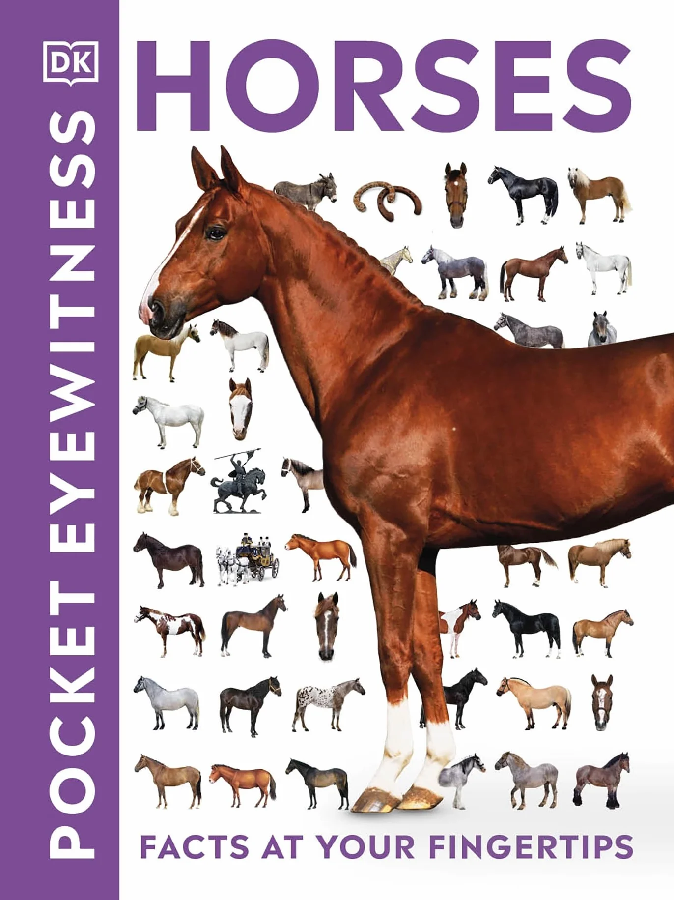 Pocket Eyewitness Horses: Facts at Your Fingertips