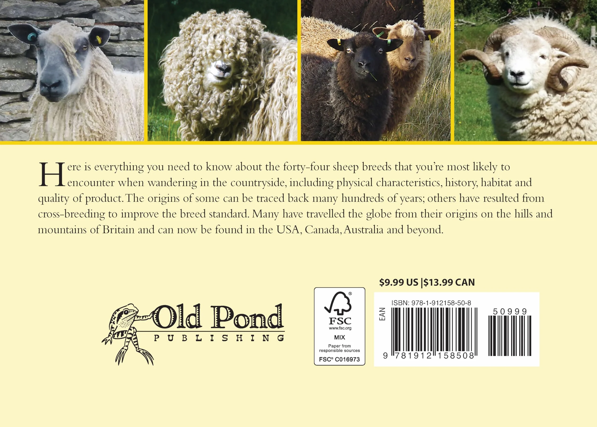 Know Your Sheep