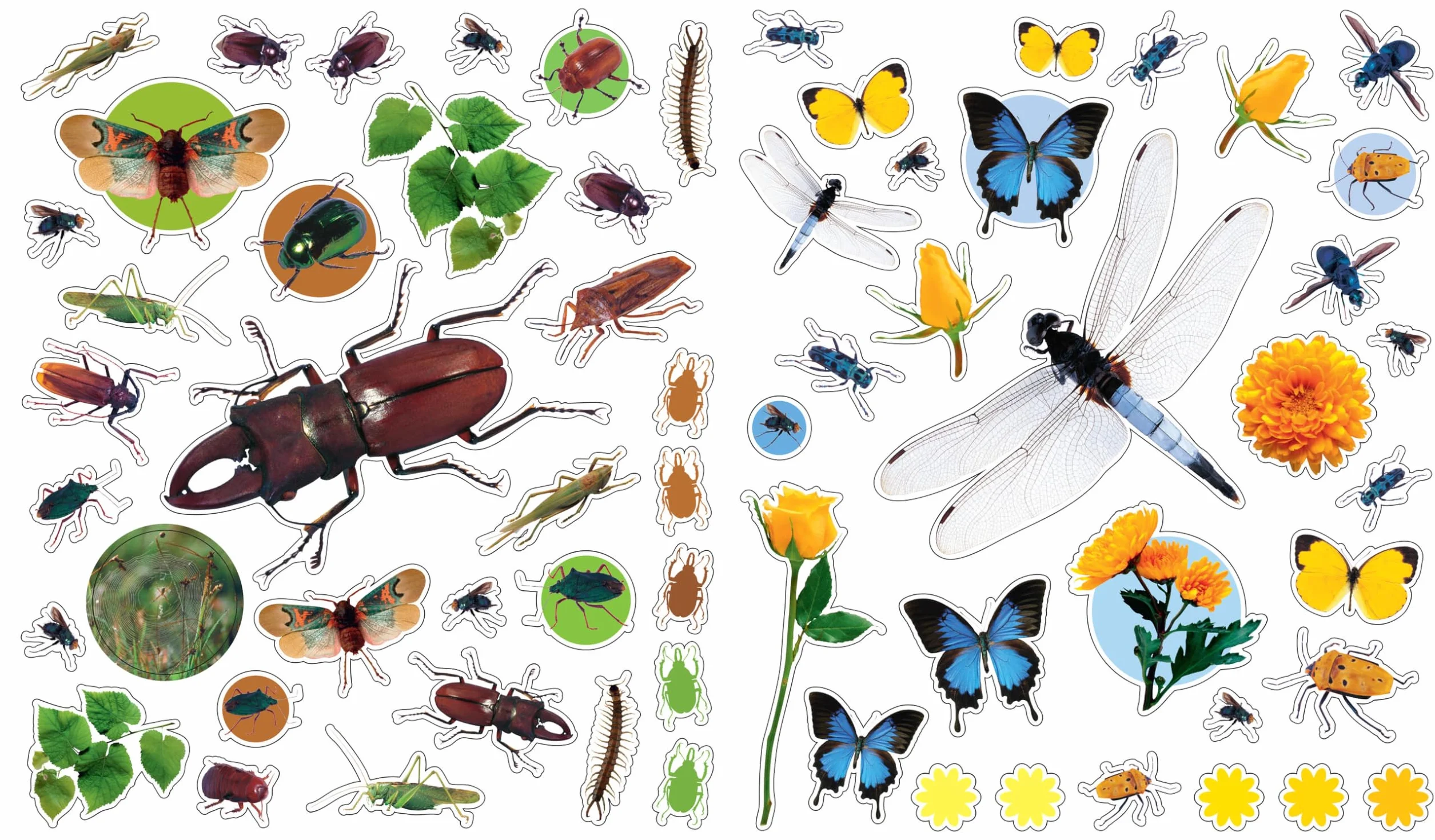 Bugs (Eye Like Stickers)