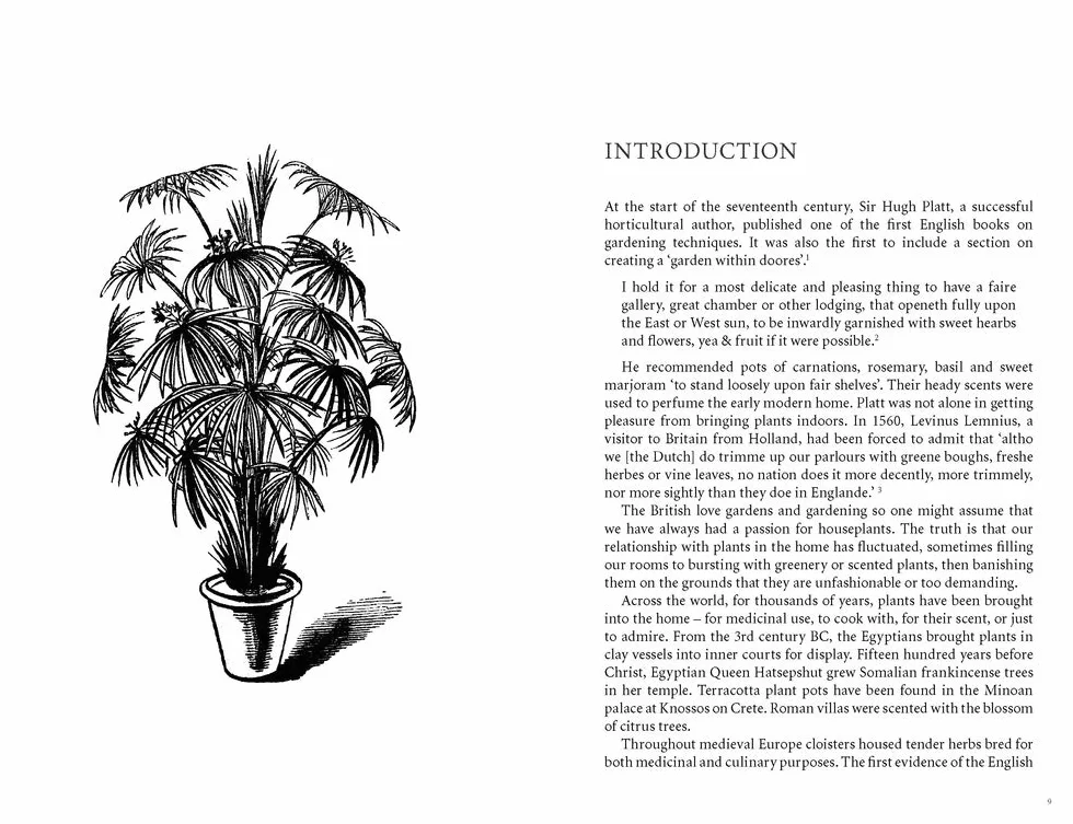 Potted History: How Houseplants Took Over Our Homes