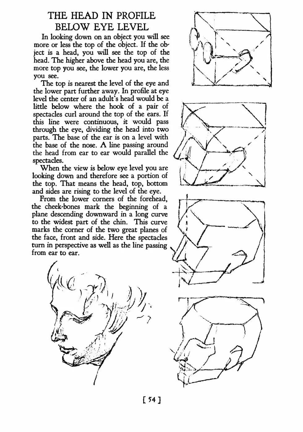 Heads, Features and Faces
