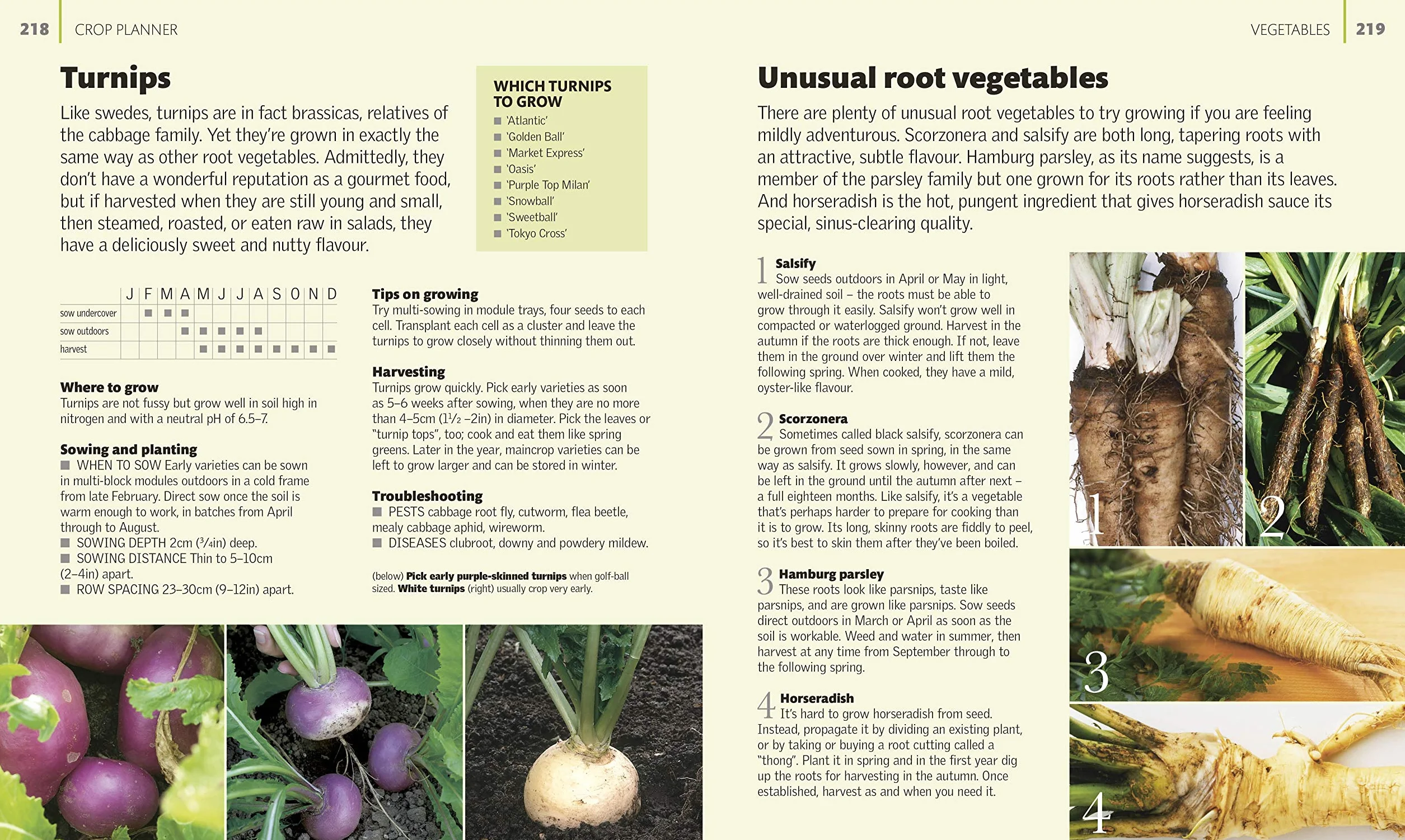 Allotment Month By Month: Grow your Own Fruit and Vegetables, Know What to do When