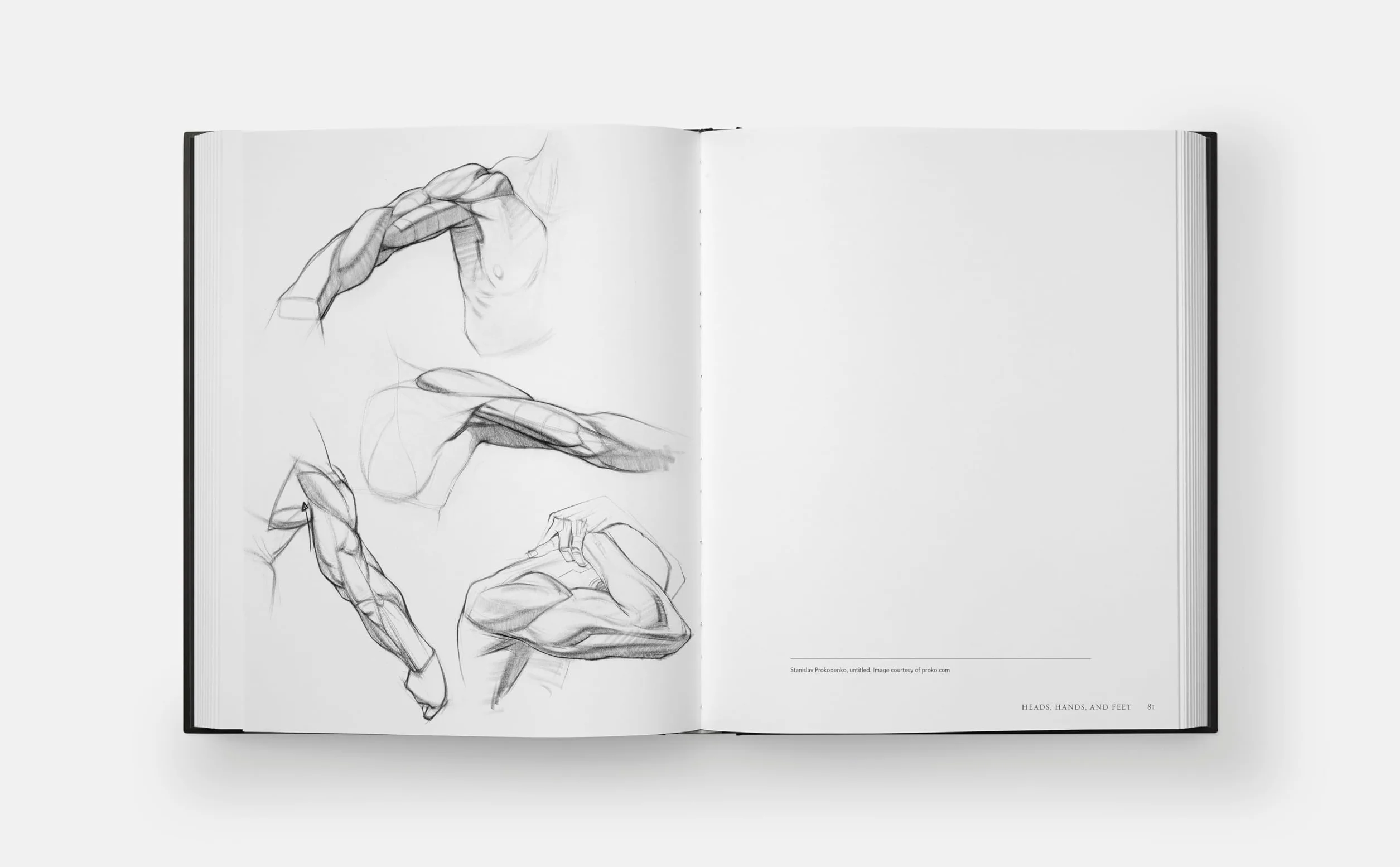 Figure Drawing Atelier: An Instructional Sketchbook
