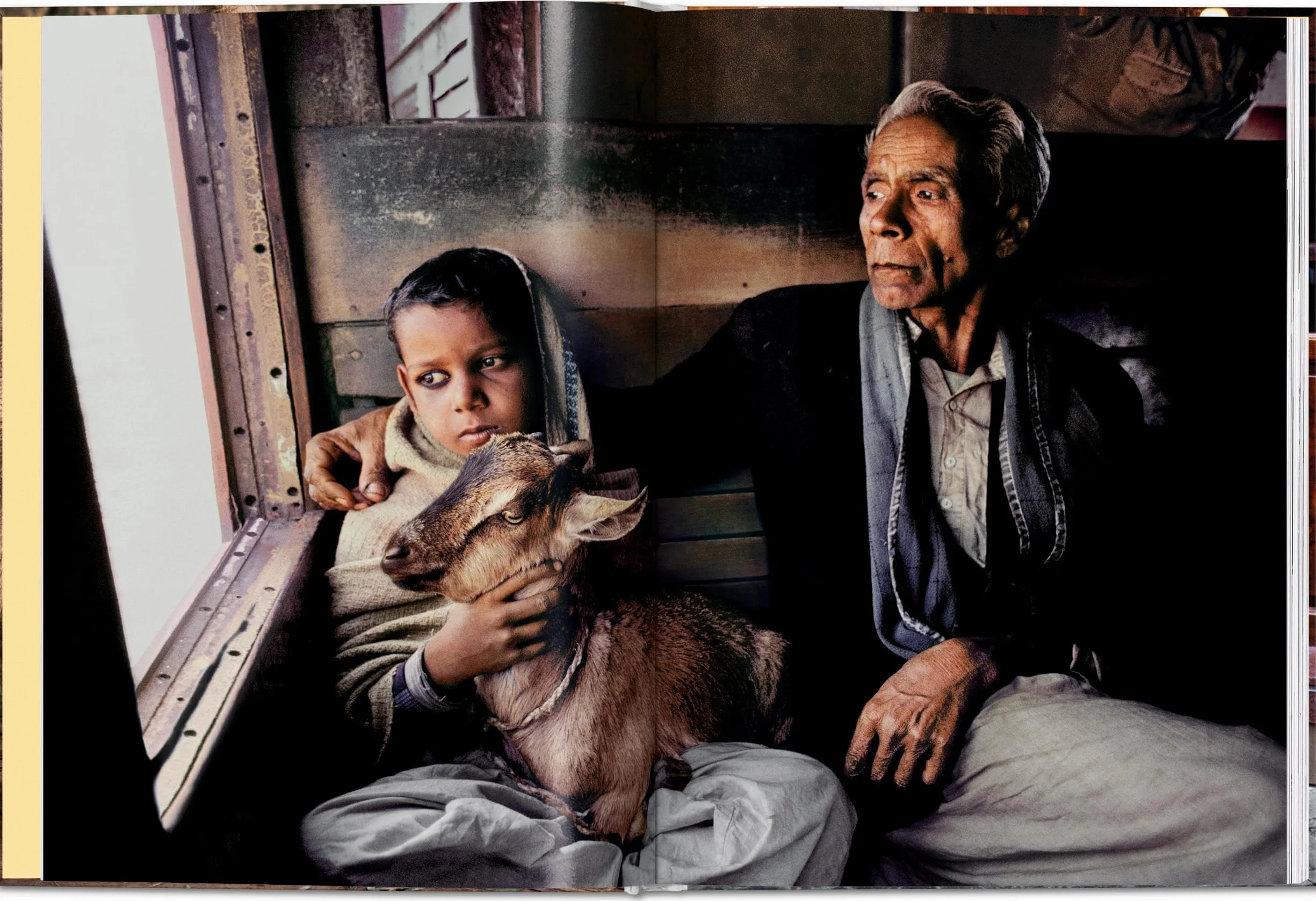 Steve mccurry. animals