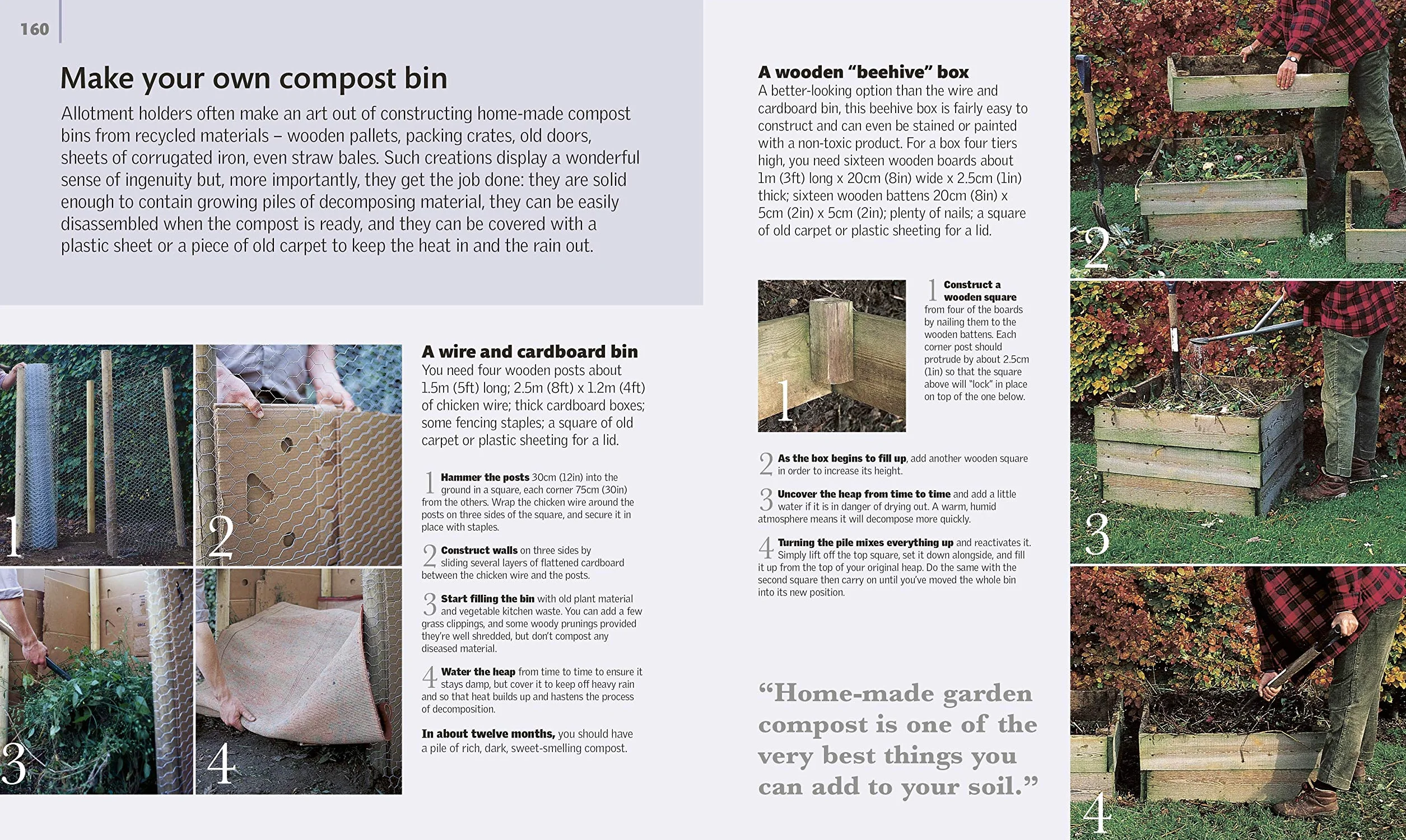 Allotment Month By Month: Grow your Own Fruit and Vegetables, Know What to do When