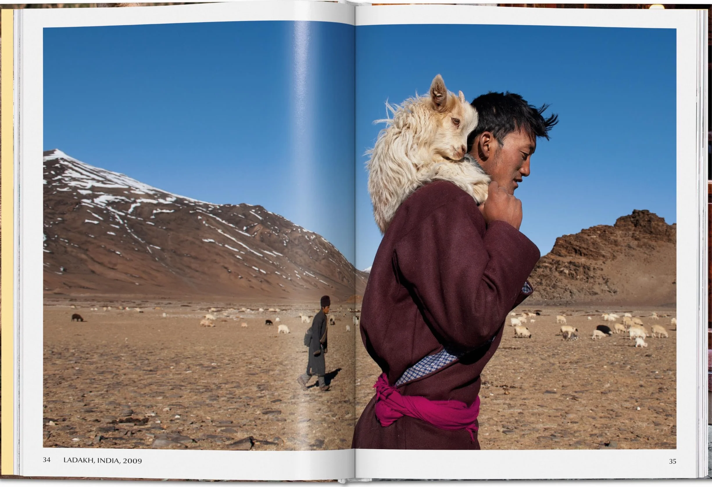 Steve mccurry. animals
