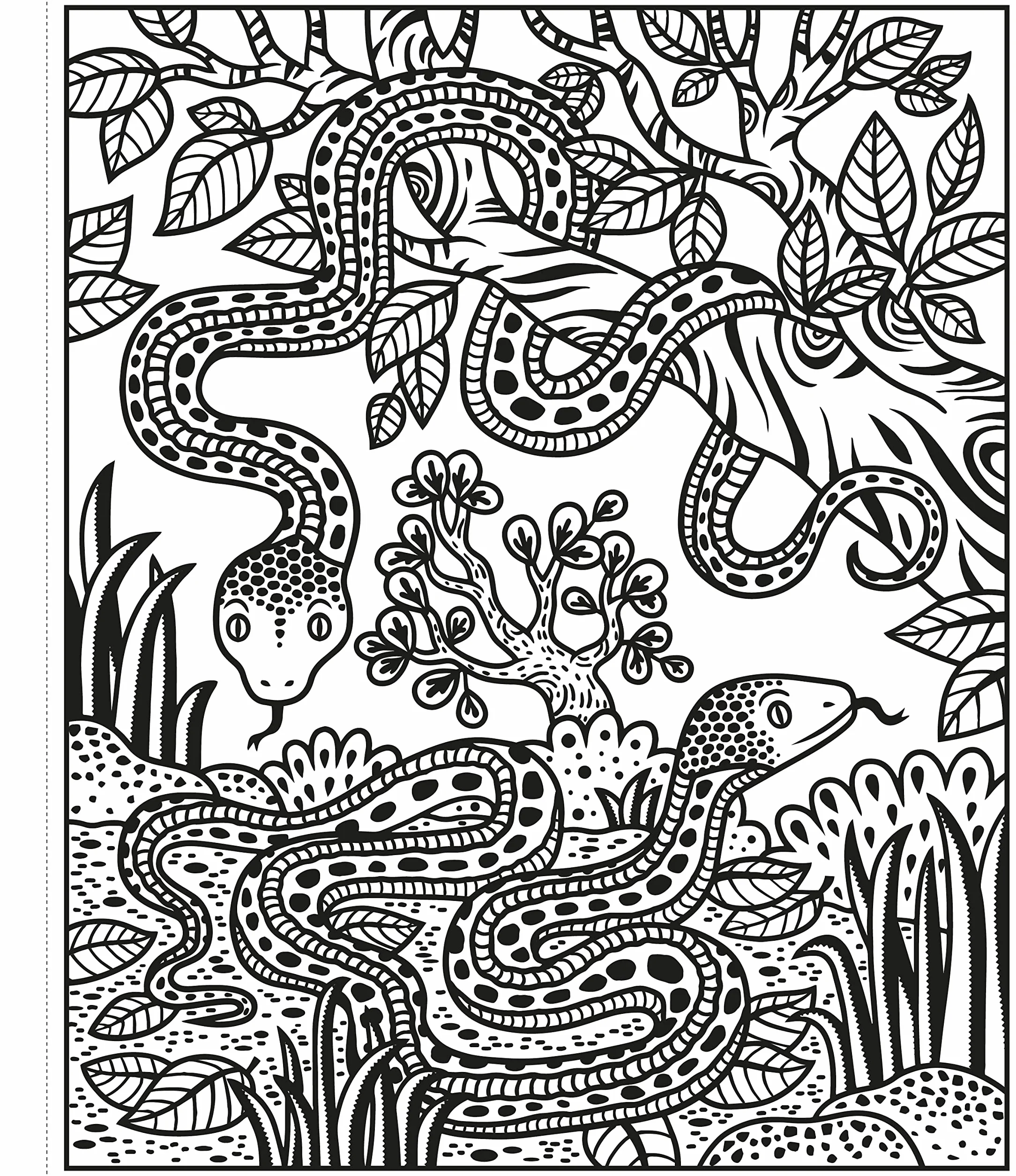 Magic Painting Zoo: 1 (Magic Painting Books)