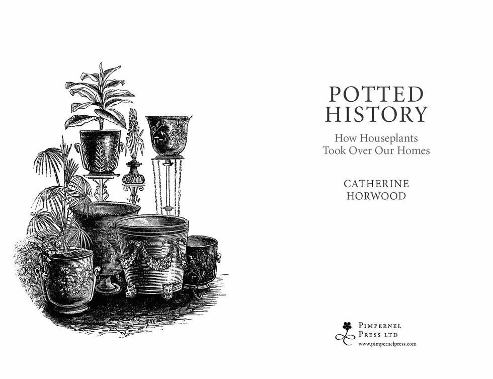 Potted History: How Houseplants Took Over Our Homes