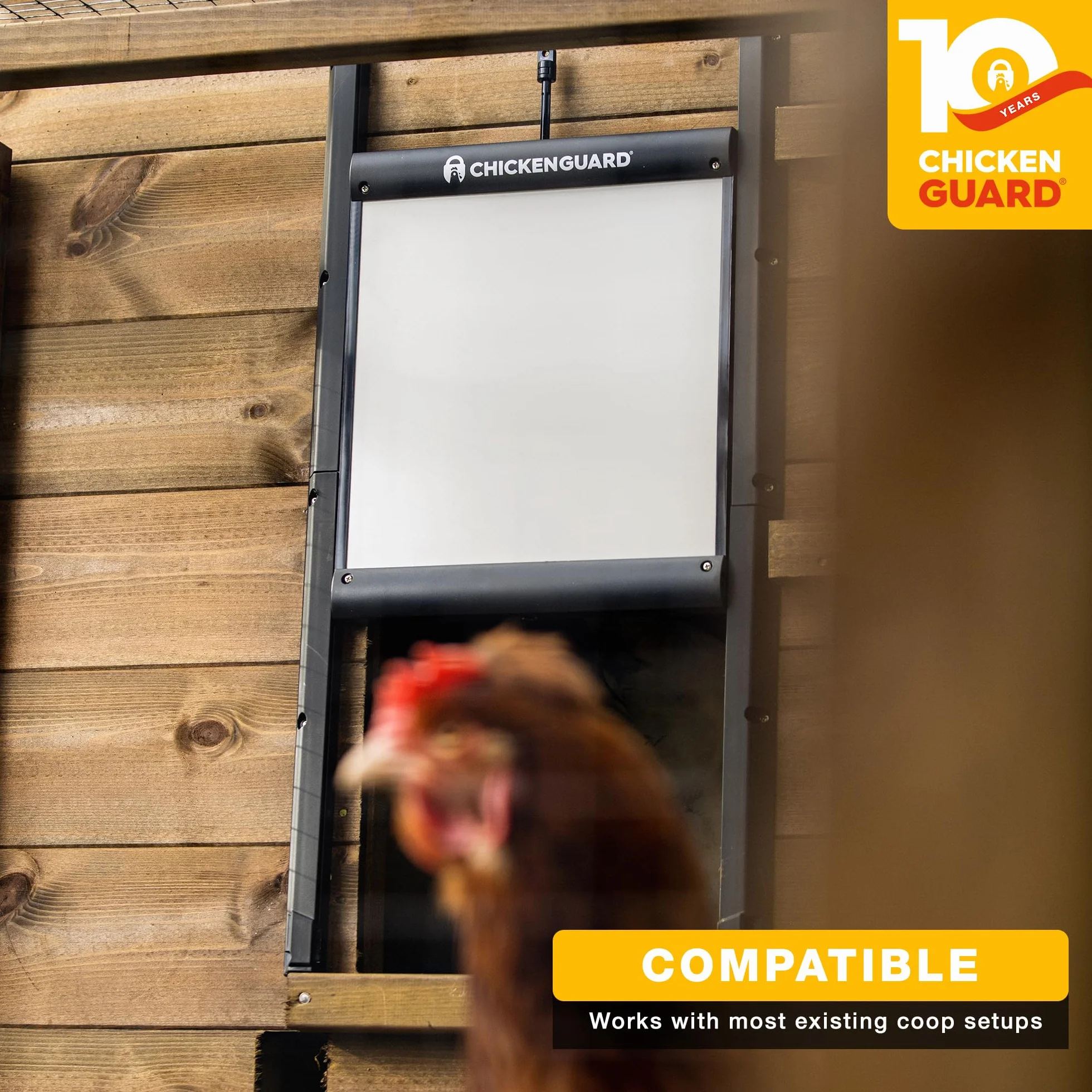 ChickenGuard Samozamykające się odporne na drapieżniki drzwi kurnika, kurnik, akcesoria do siedliska drobiu (tylko drzwi - bez silnika)