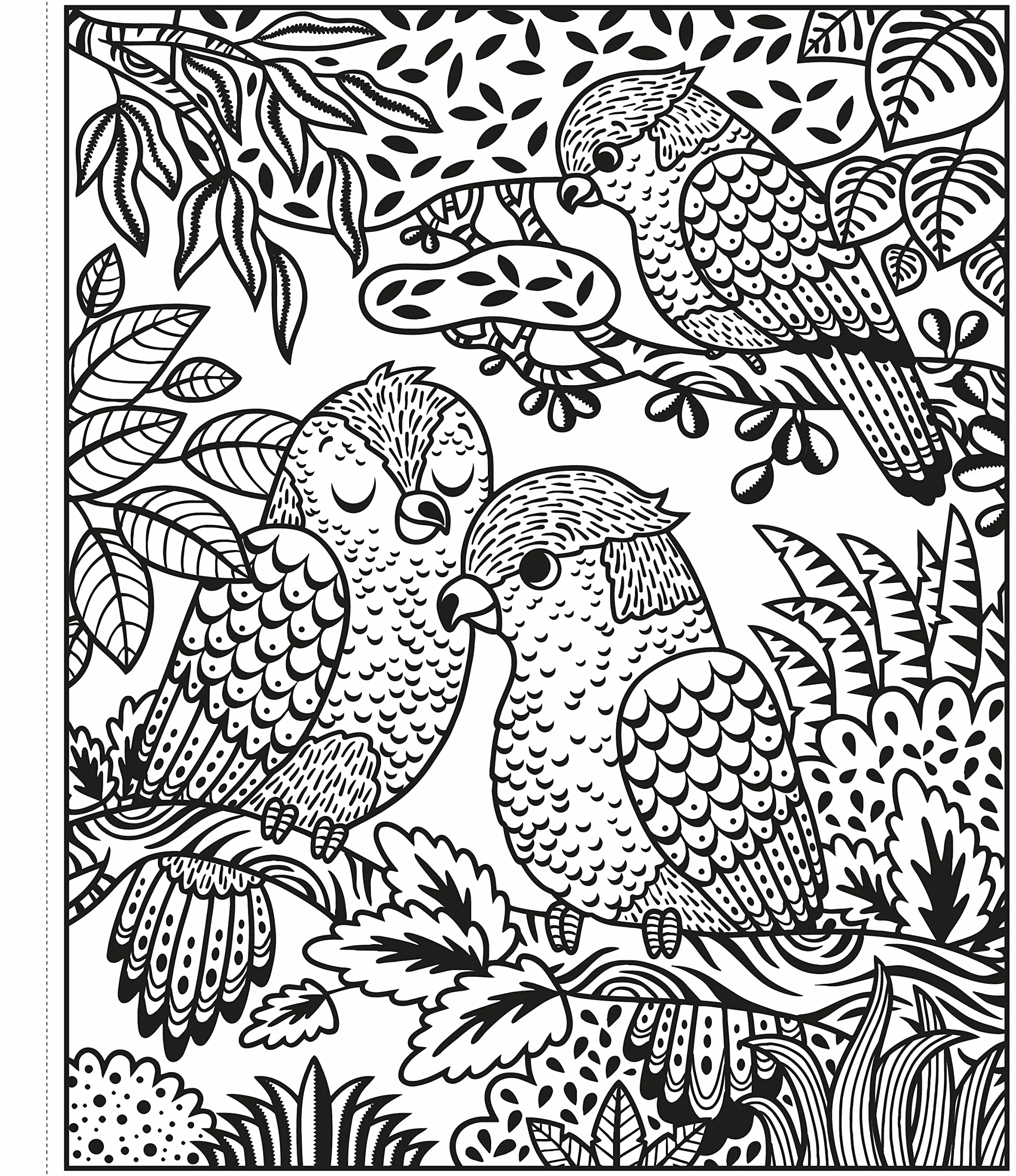 Magic Painting Zoo: 1 (Magic Painting Books)