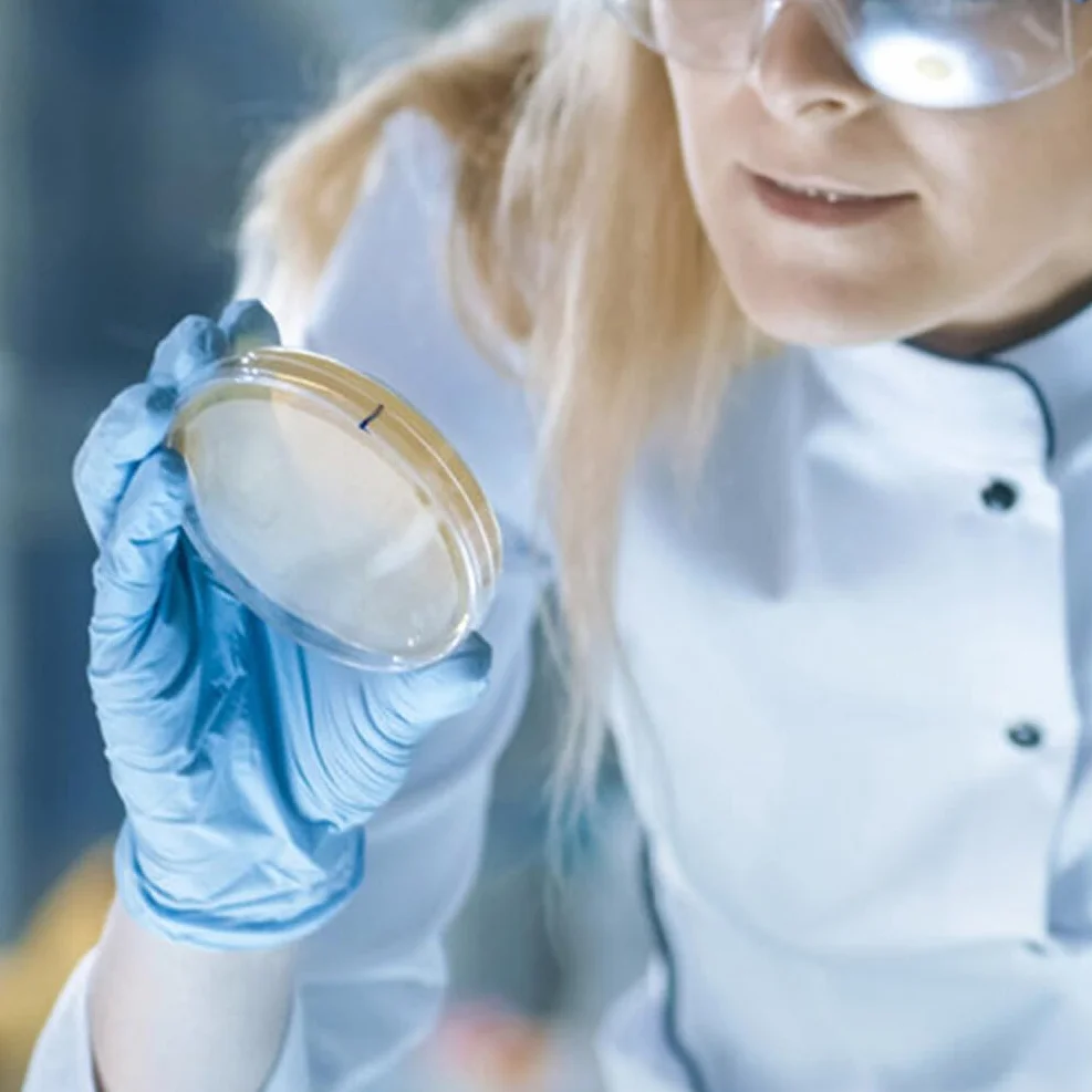 Mobestech Przenośne Płytki Agarowe Laboratoryjne 20 Szt Płytki Agarowe Do Eksperymentów Naukowych Łatwe W Użyciu Szalki Petriego Z Agarem