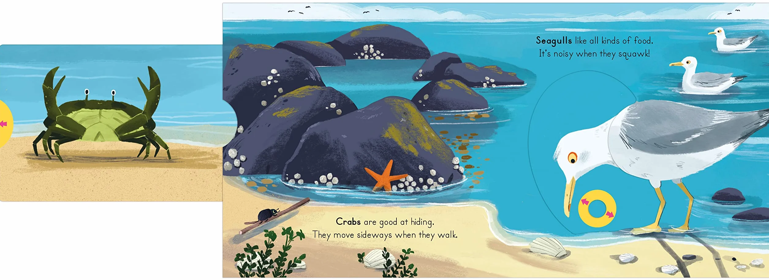 National Trust: Big Outdoors for Little Explorers: Seaside