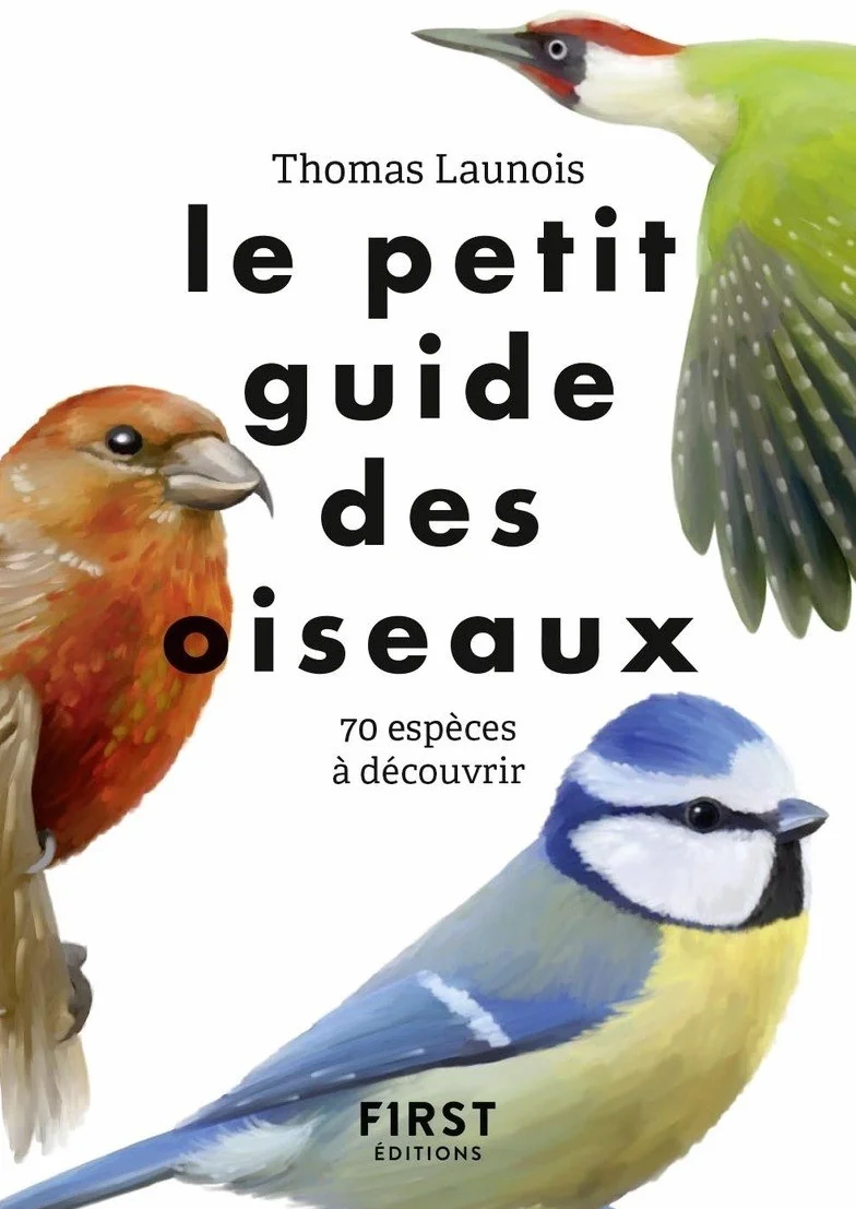 Le Petit Guide pour reconnaître les oiseaux: 70 espèces à découvrir