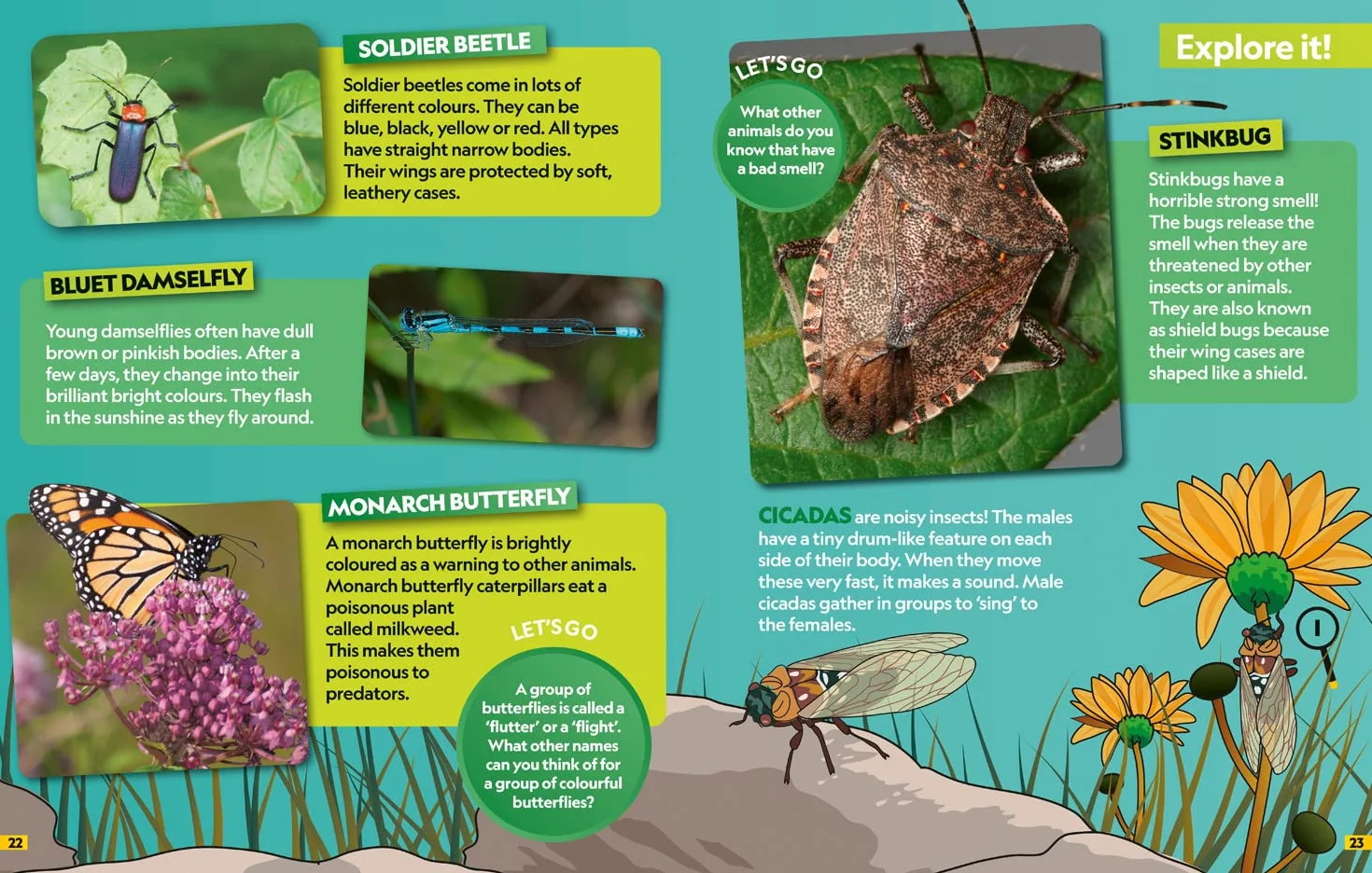 Insects Find it! Explore it!: More than 250 things to find, facts and photos!