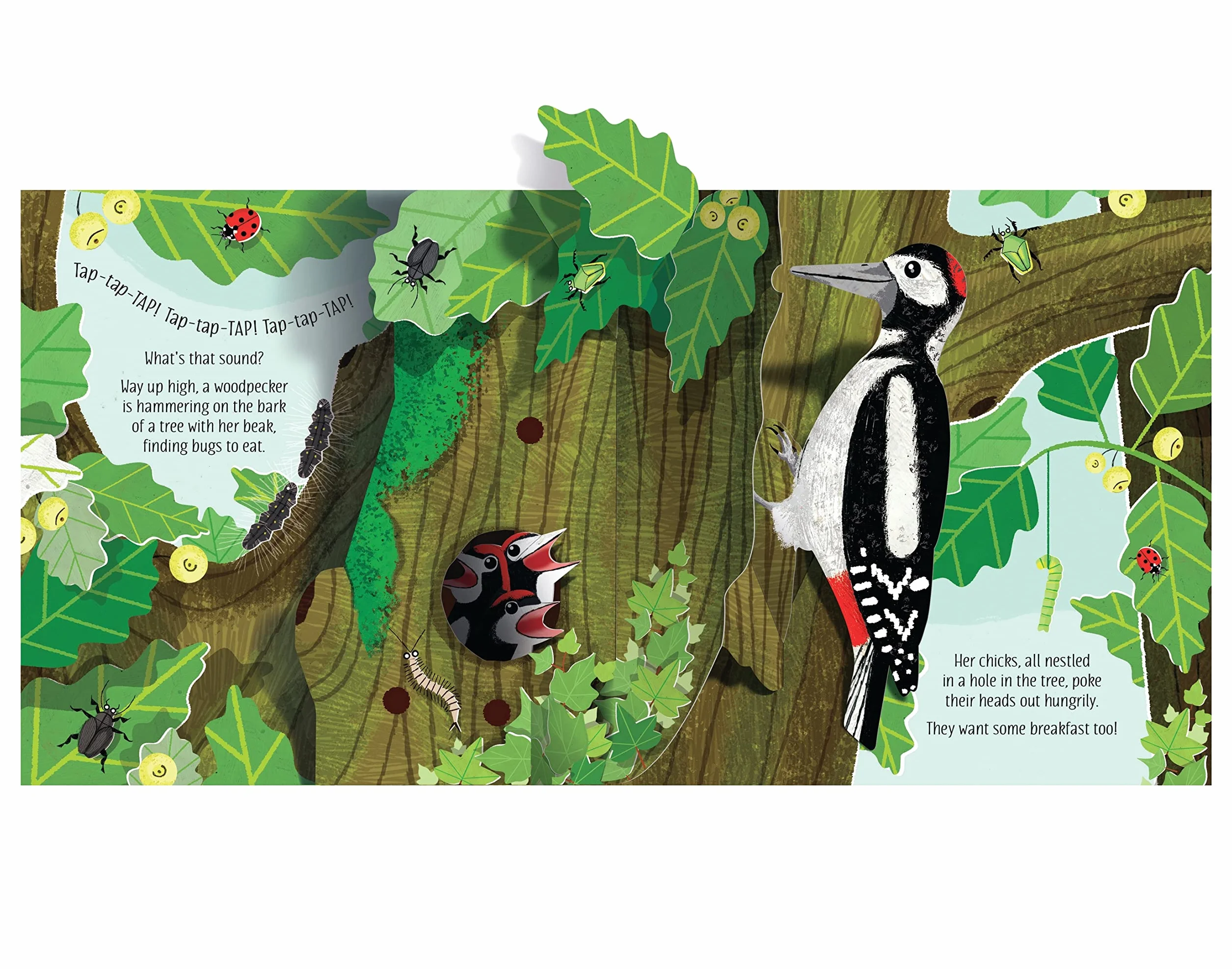 Pop-Up Nature: 1 (Pop-Ups)