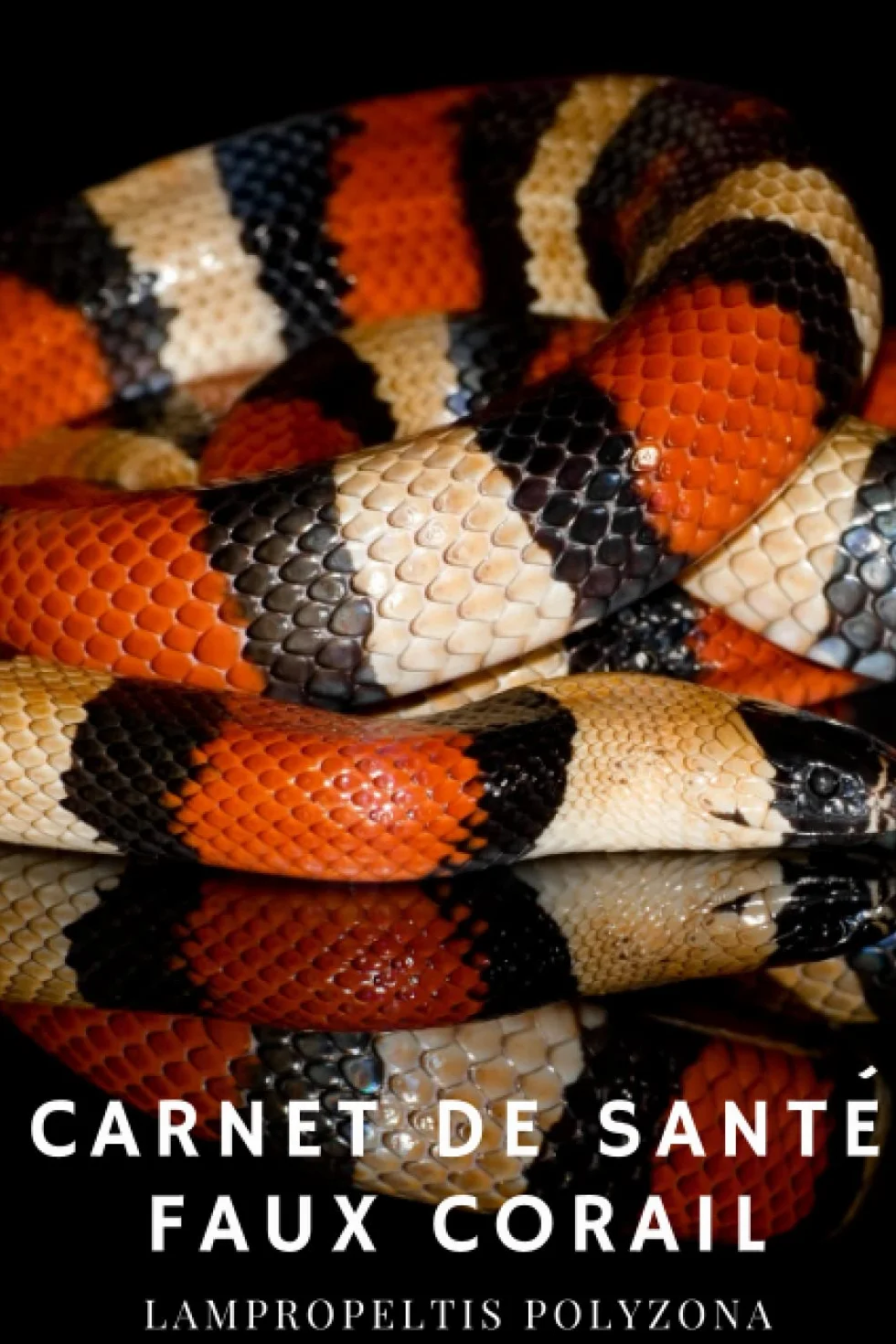 Carnet de Santé - Serpent Faux Corail (Lampropeltis polyzona): A remplir, tout pour garder votre serpent en bonne santé.