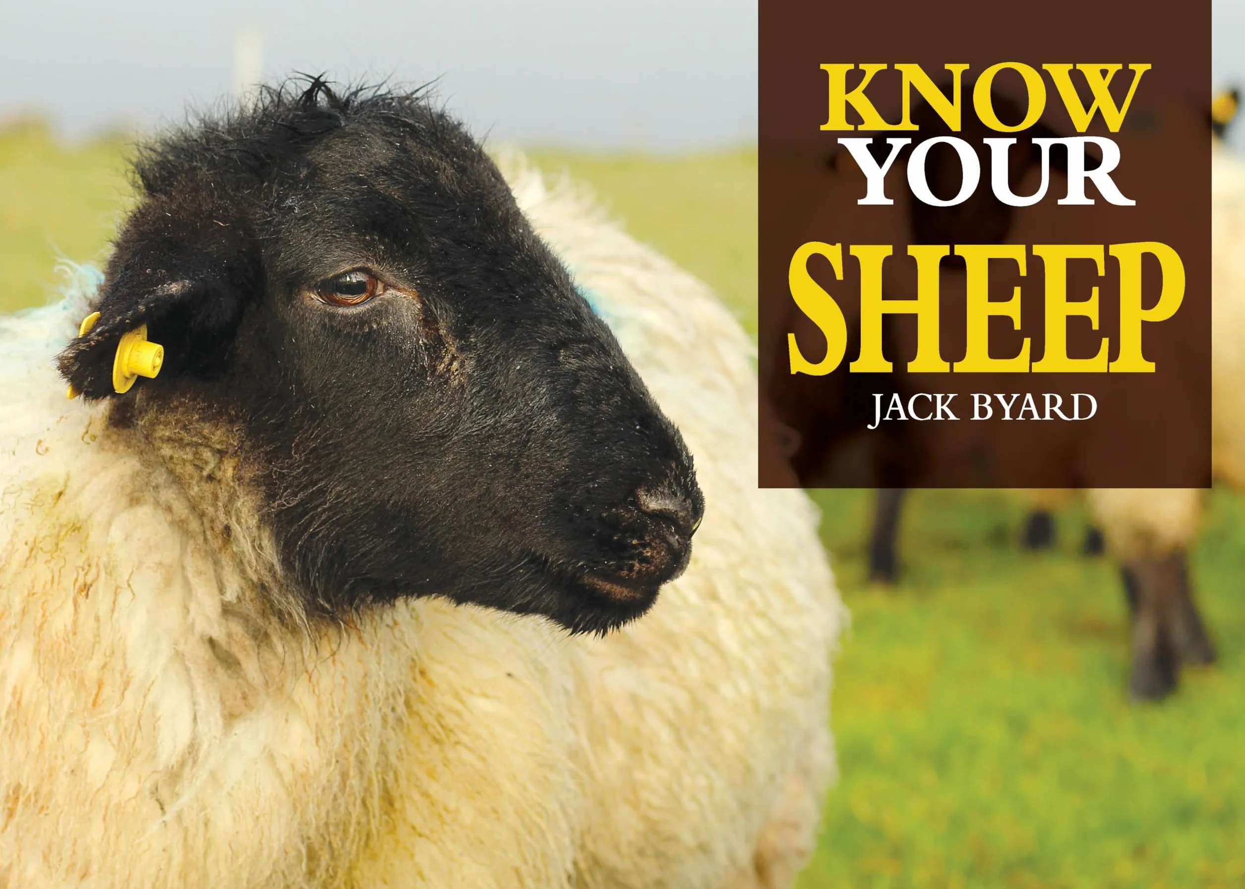 Know Your Sheep