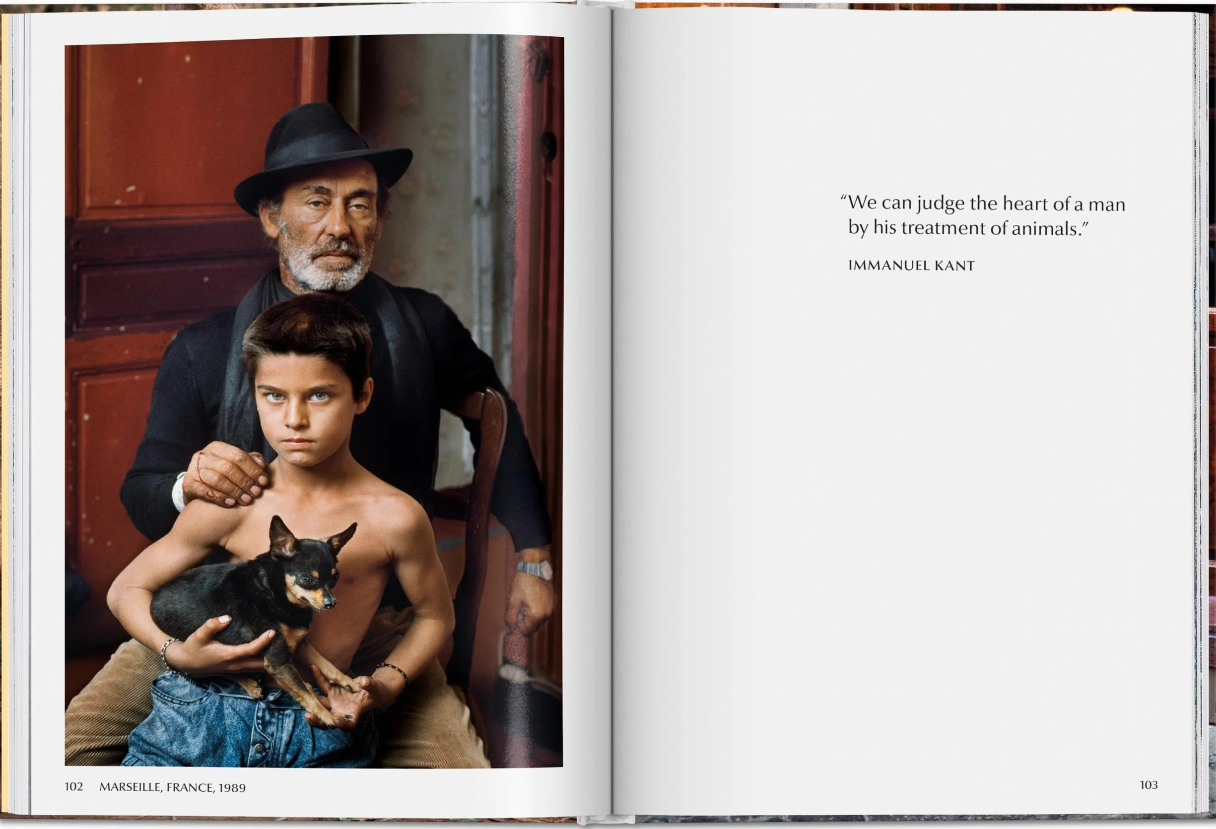 Steve mccurry. animals