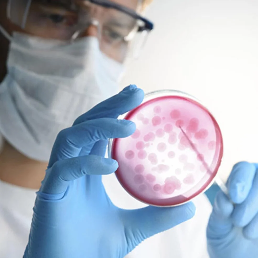 Mobestech Przenośne Płytki Agarowe Laboratoryjne 20 Szt Płytki Agarowe Do Eksperymentów Naukowych Łatwe W Użyciu Szalki Petriego Z Agarem