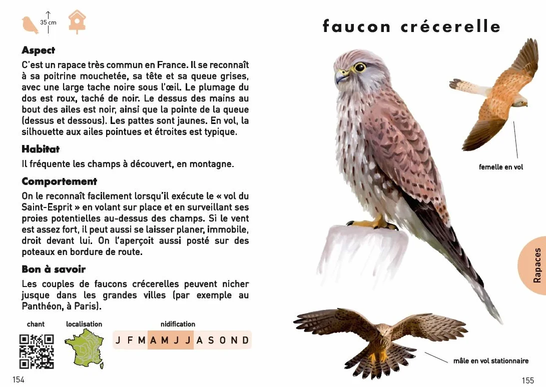 Le Petit Guide pour reconnaître les oiseaux: 70 espèces à découvrir