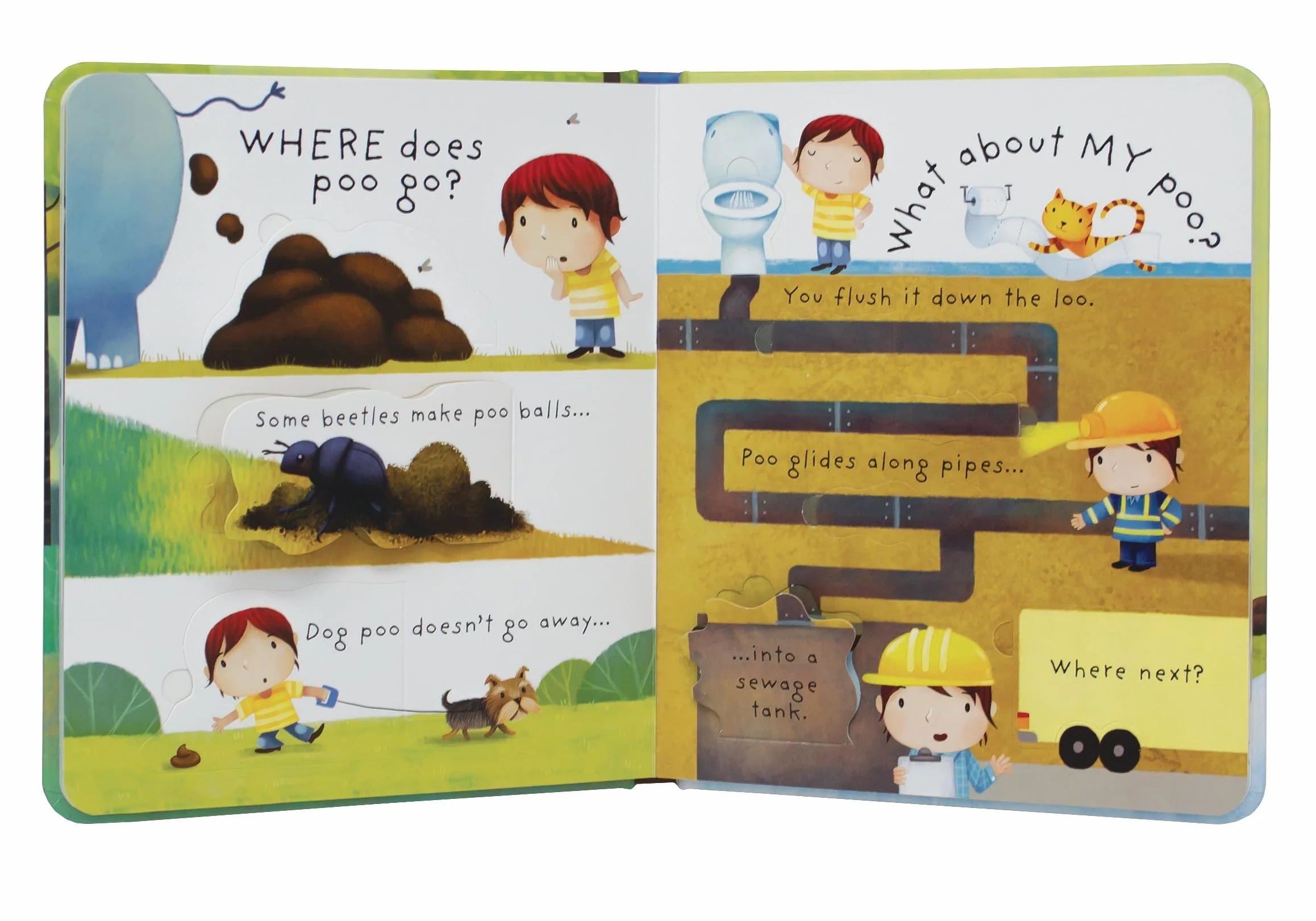 What is Poo? (Very First Lift-the-Flap Questions and Answers) (Very First Lift-the-Flap Questions & Answers): 1 (Very First Questions and Answers)