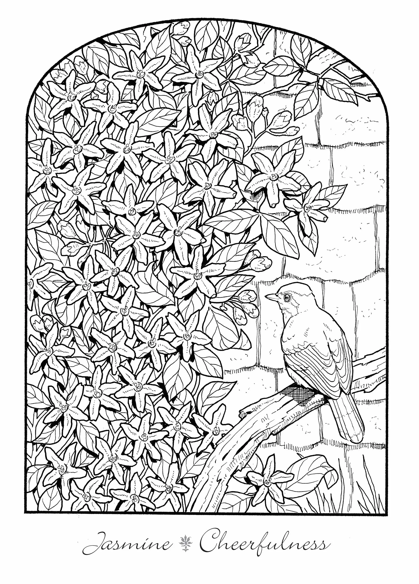 Creative Haven the Beautiful Language of Flowers Coloring Book