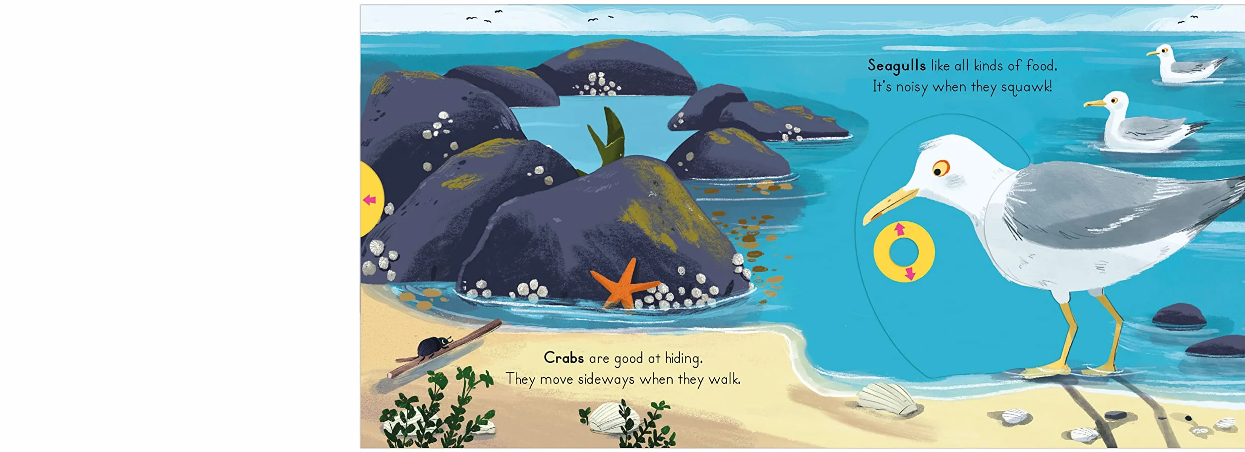 National Trust: Big Outdoors for Little Explorers: Seaside