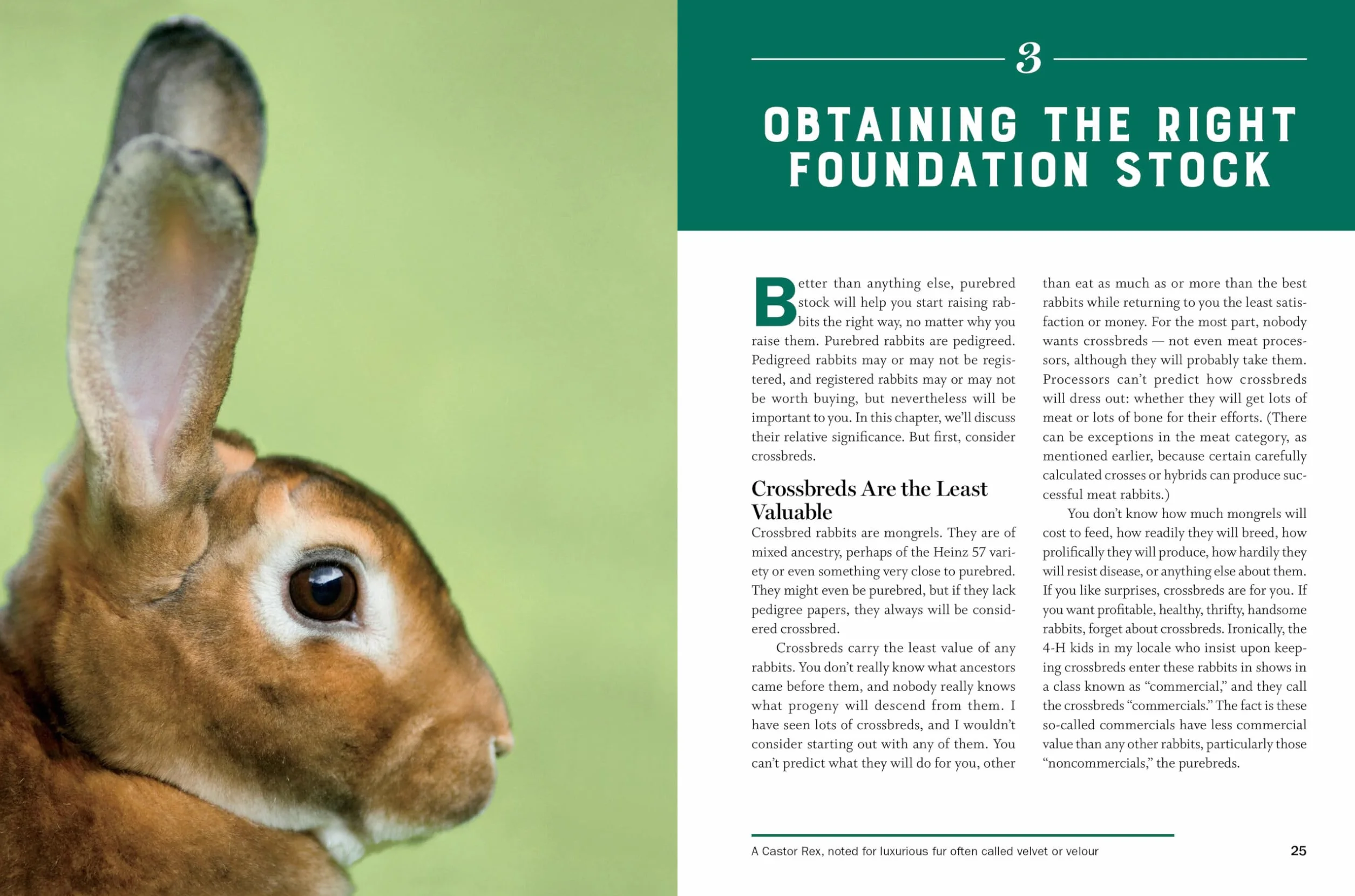 Storey's Guide to Raising Rabbits, 5th Edition: Breeds, Care, Housing