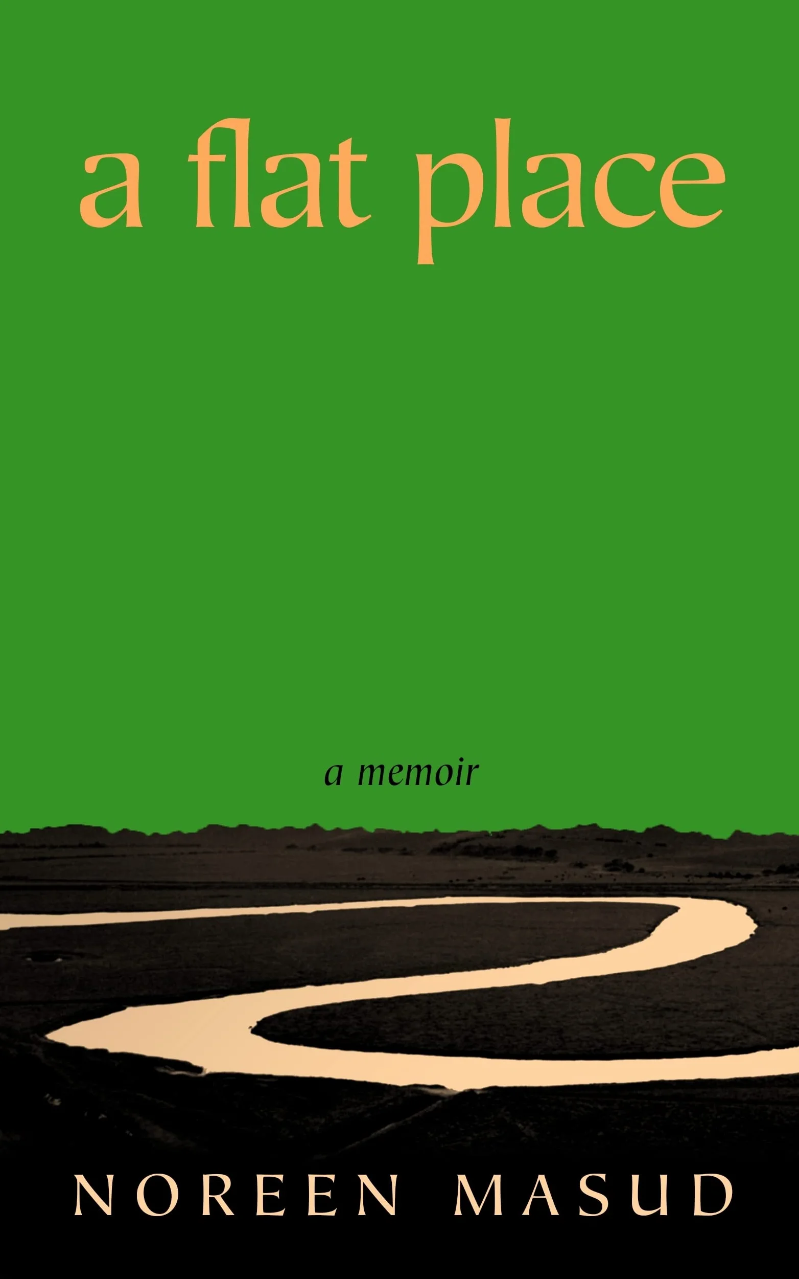 A Flat Place: Shortlisted for the Women’s Prize for Non-Fiction 2024