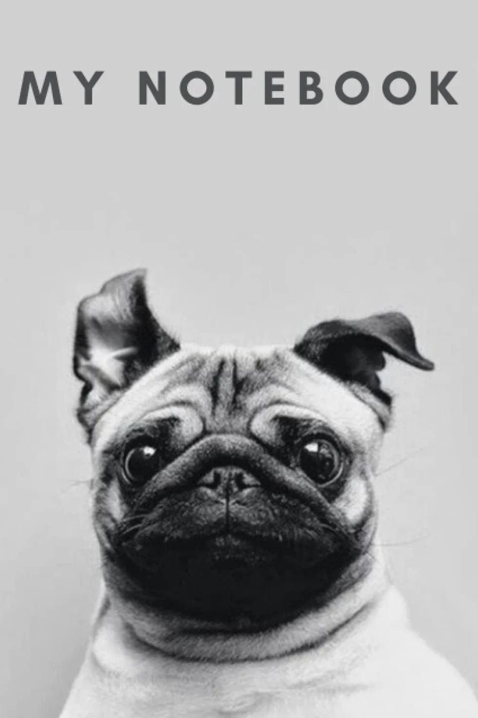 Pug notebook