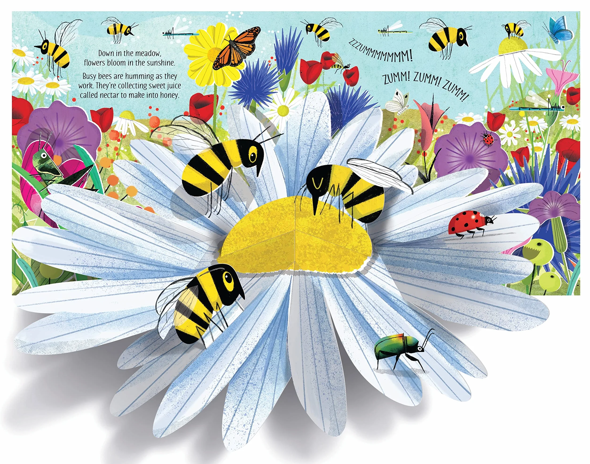 Pop-Up Nature: 1 (Pop-Ups)