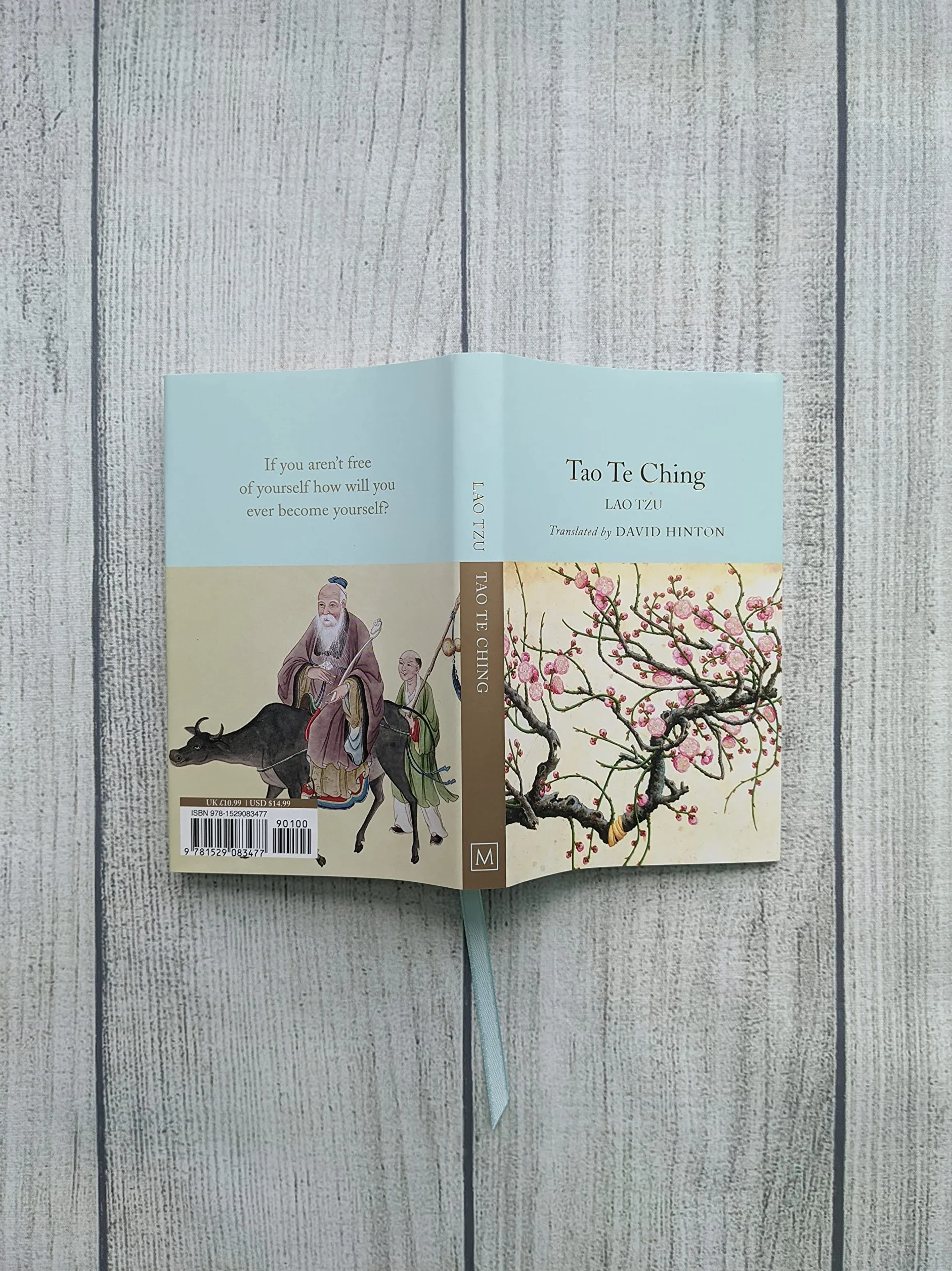Lao Tzu Tao Te Ching (Macmillan Collector's Library) /anglais